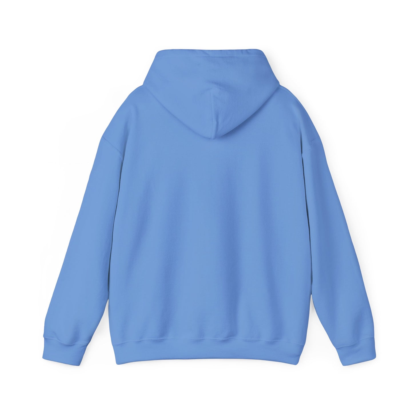 Unisex Hoodie In Carolina Blue