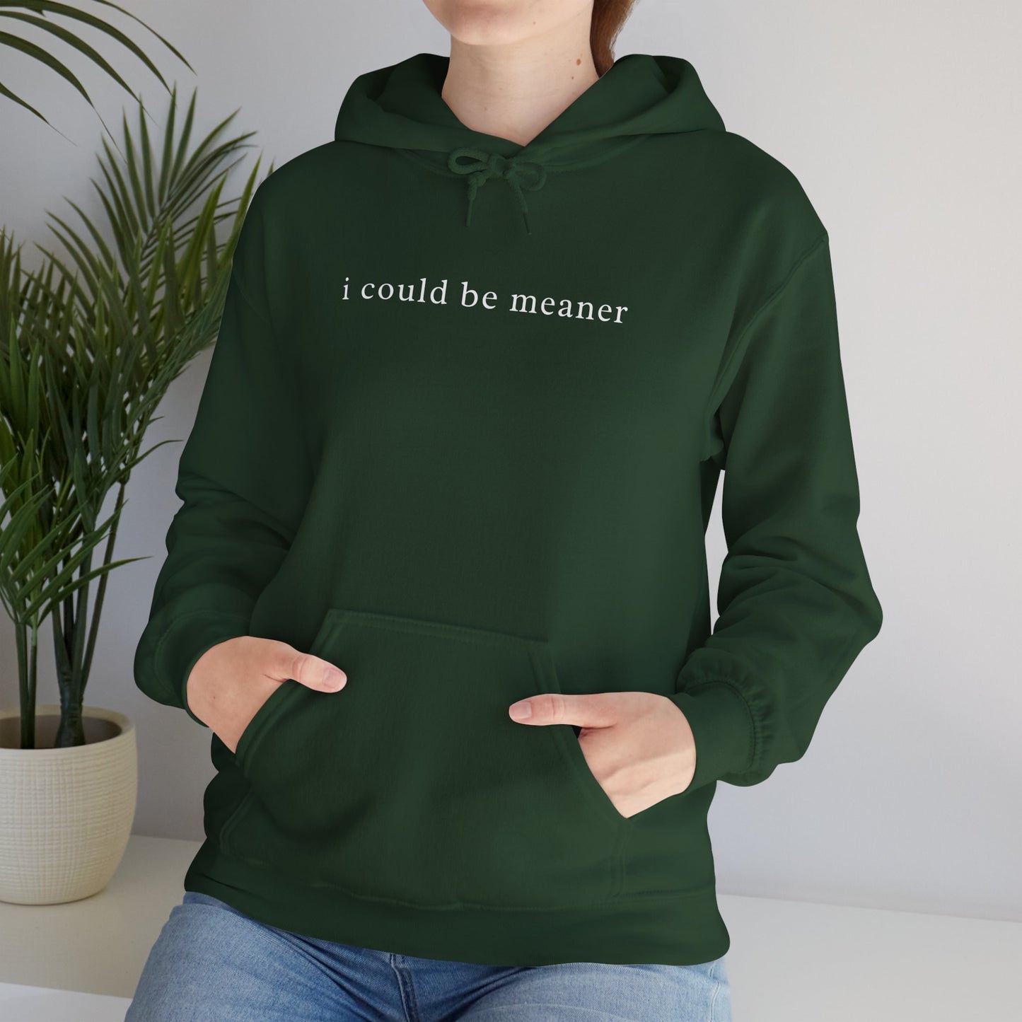 I Could Be Meaner Unisex Hoodie