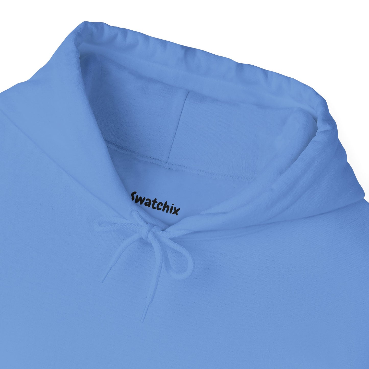 Unisex Hoodie In Carolina Blue