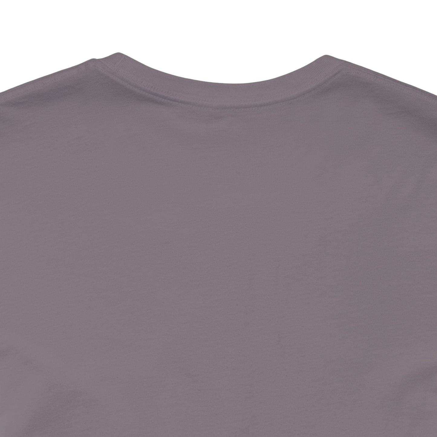 Unisex Crewneck Tee In Storm