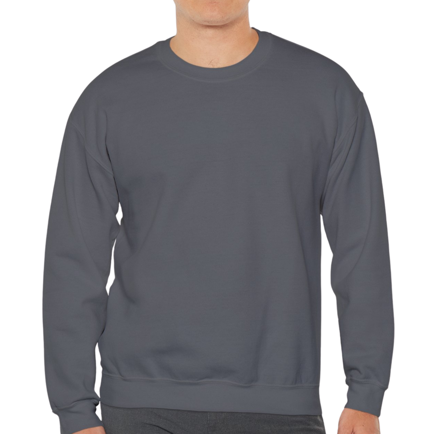 Unisex Crewneck Sweatshirt In Charcoal