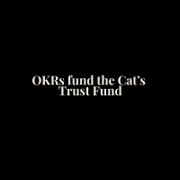 OKRs fund Oversized Tee