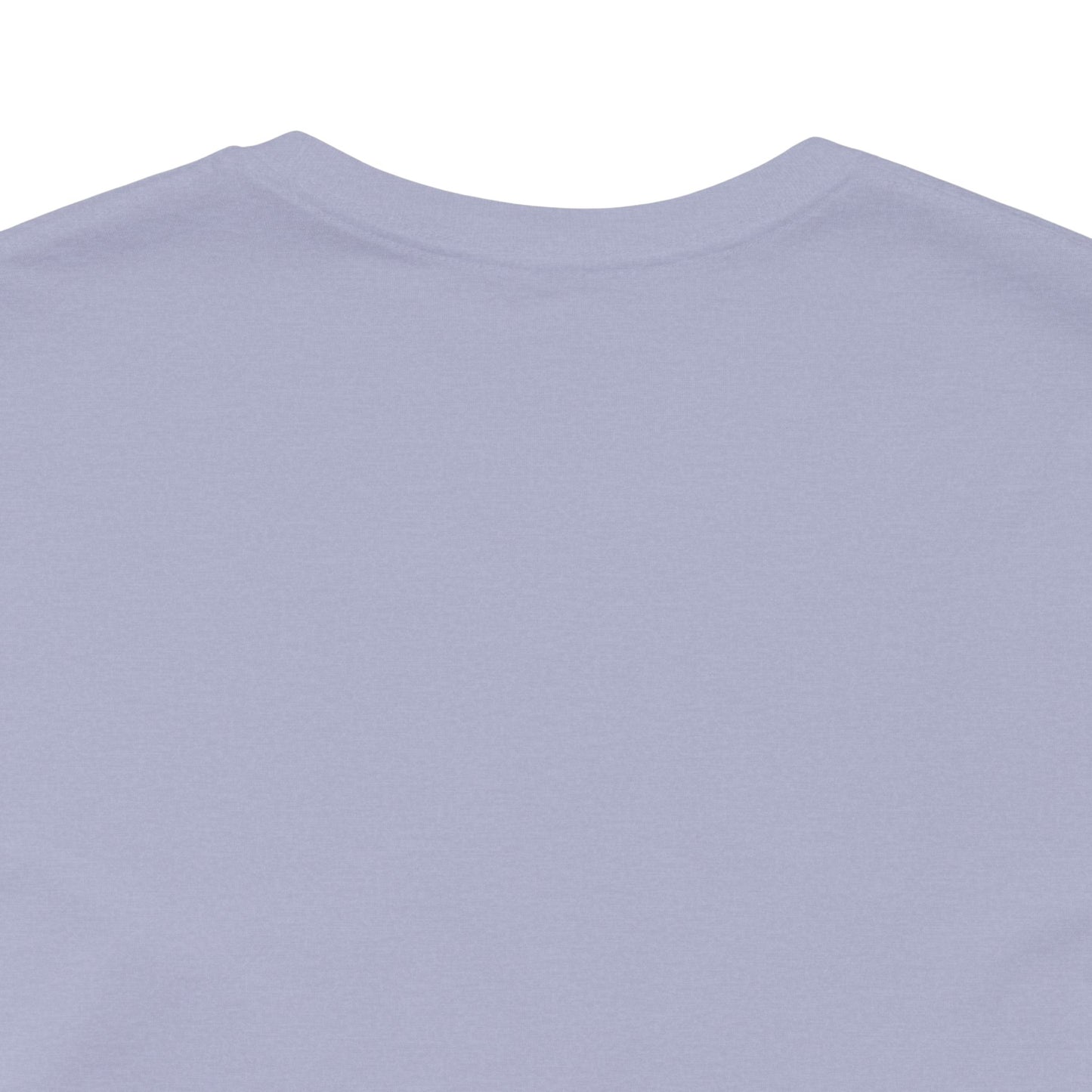 Unisex Crewneck Tee In Heather Blue