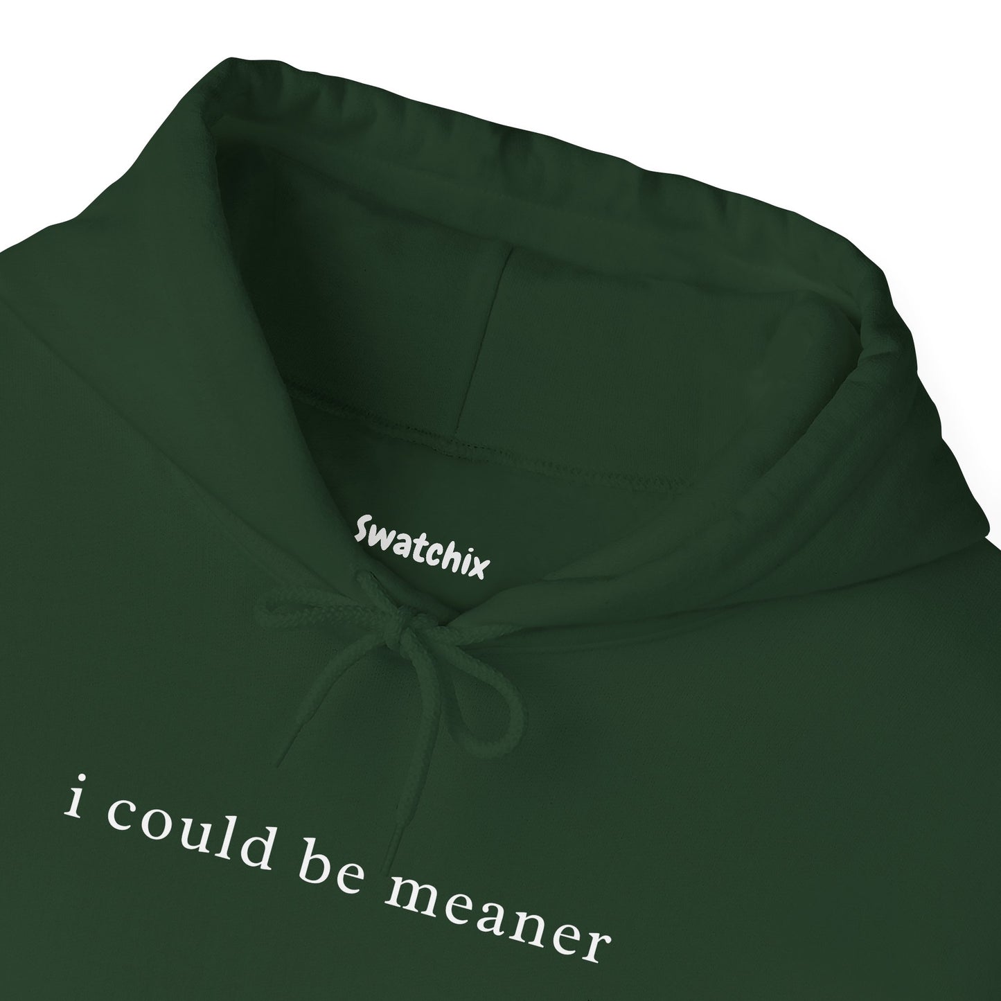 I Could Be Meaner Unisex Hoodie