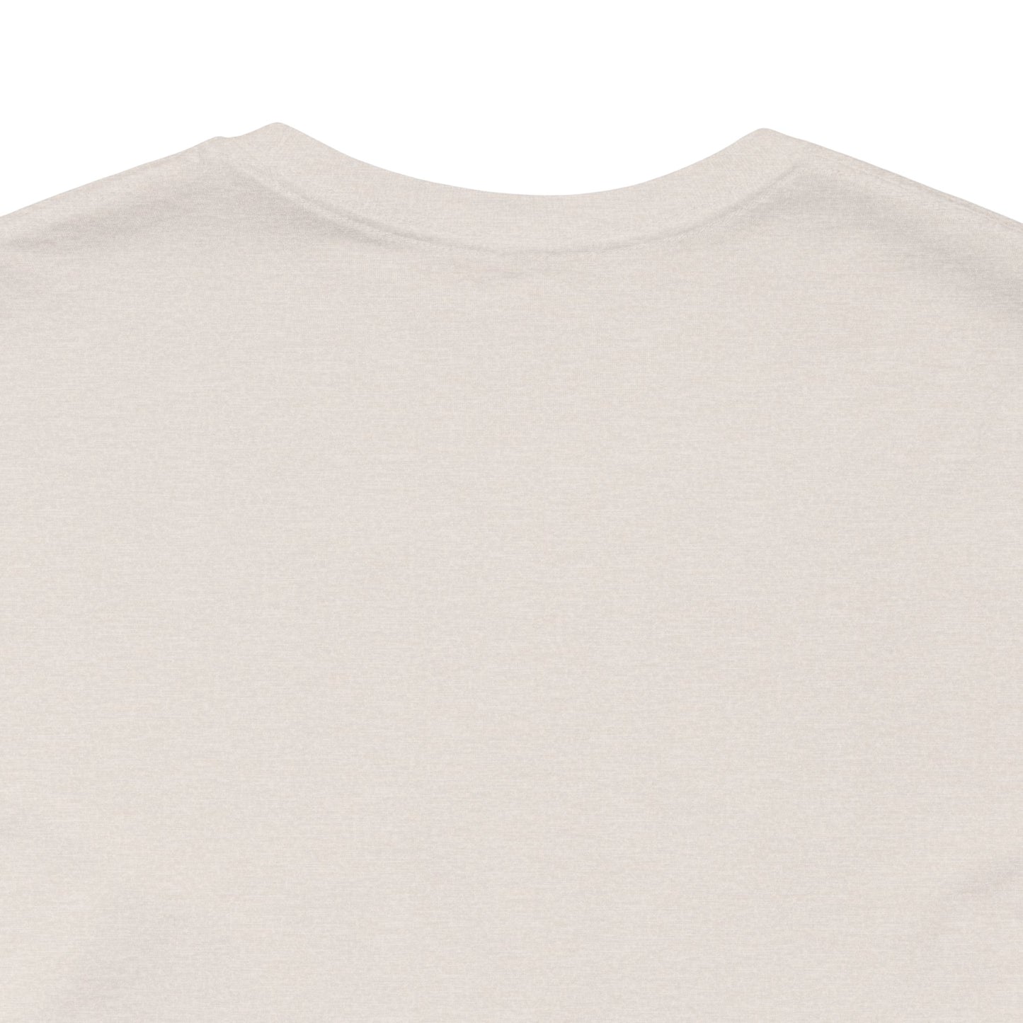 Unisex Crewneck Tee In Heather Dust