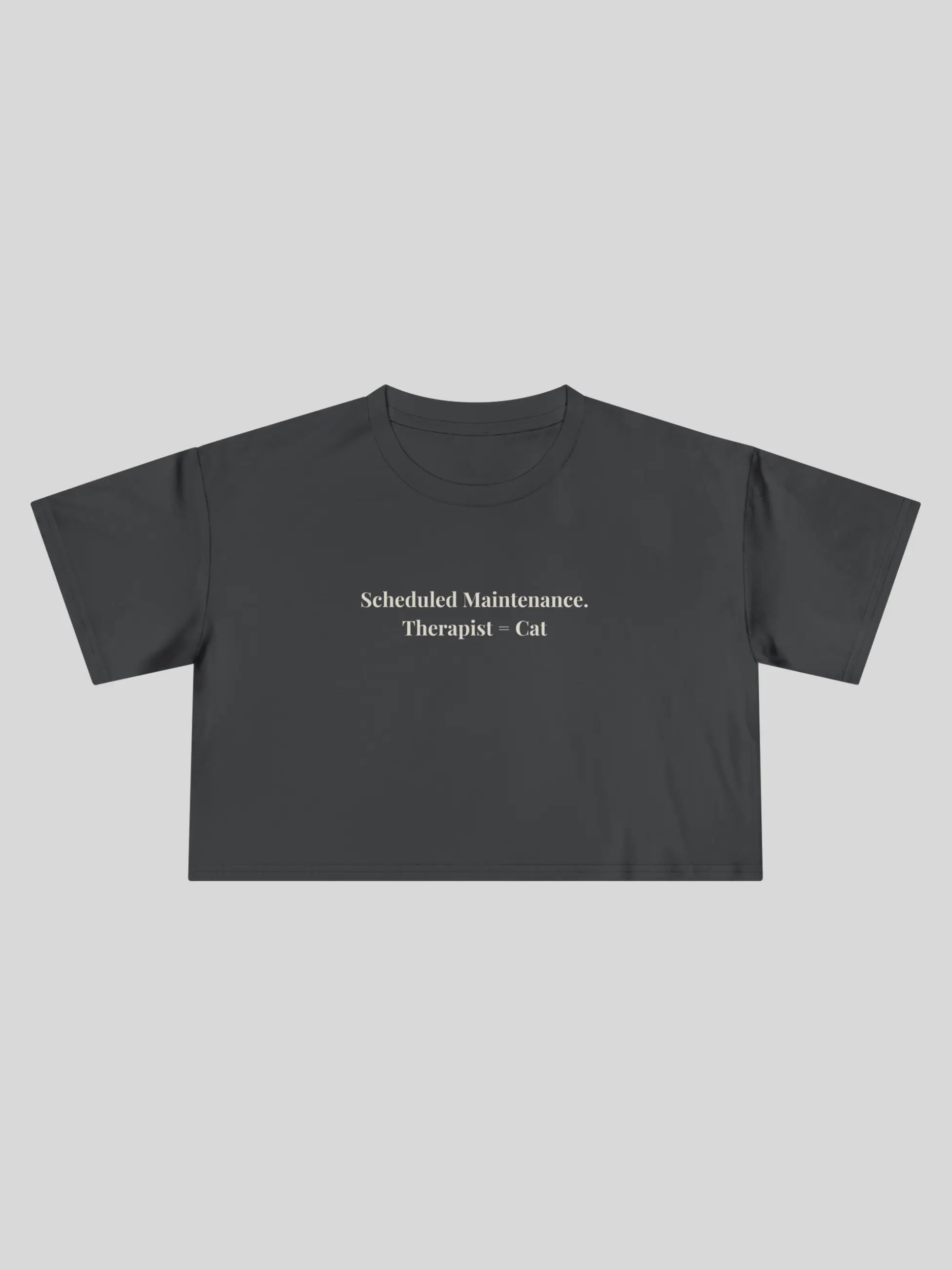 Scheduled Maintenance Cropped Tee