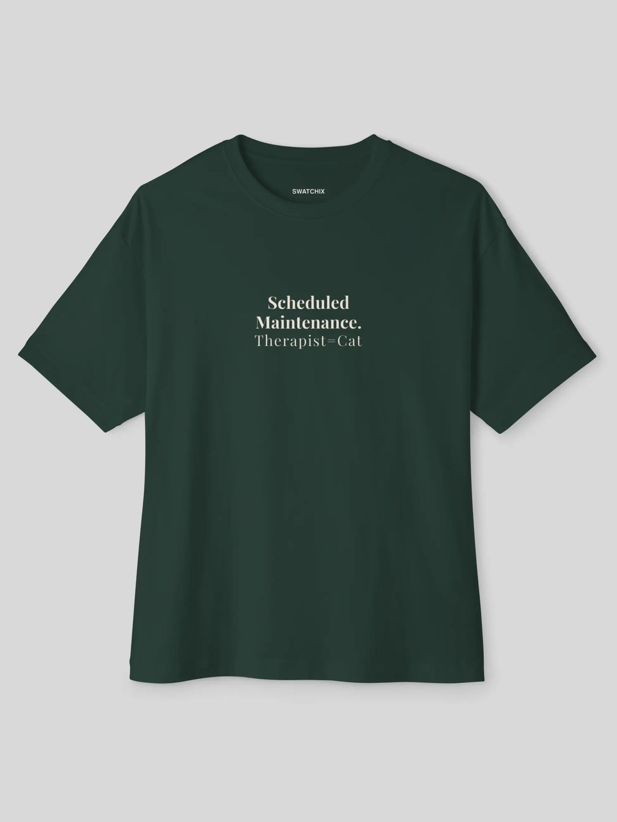 Scheduled Maintenance Oversized Tee