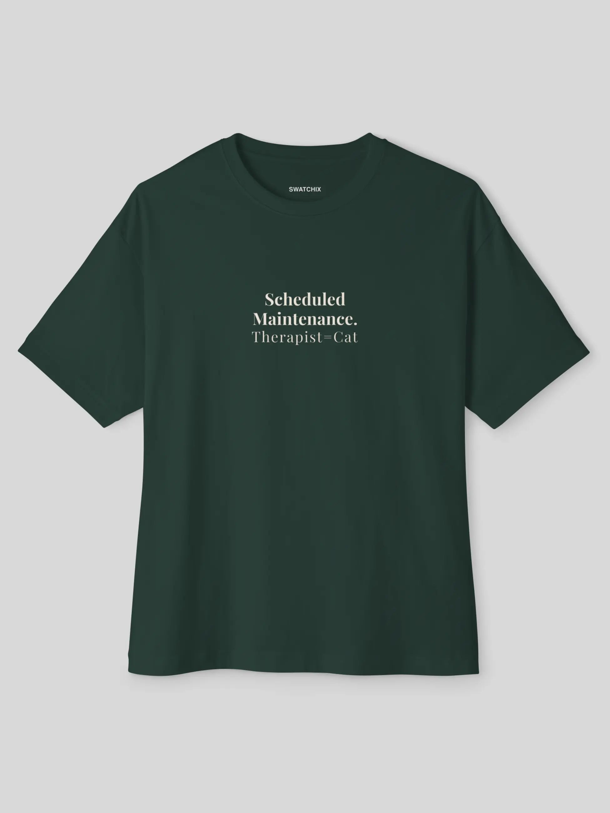 Scheduled Maintenance Oversized Tee