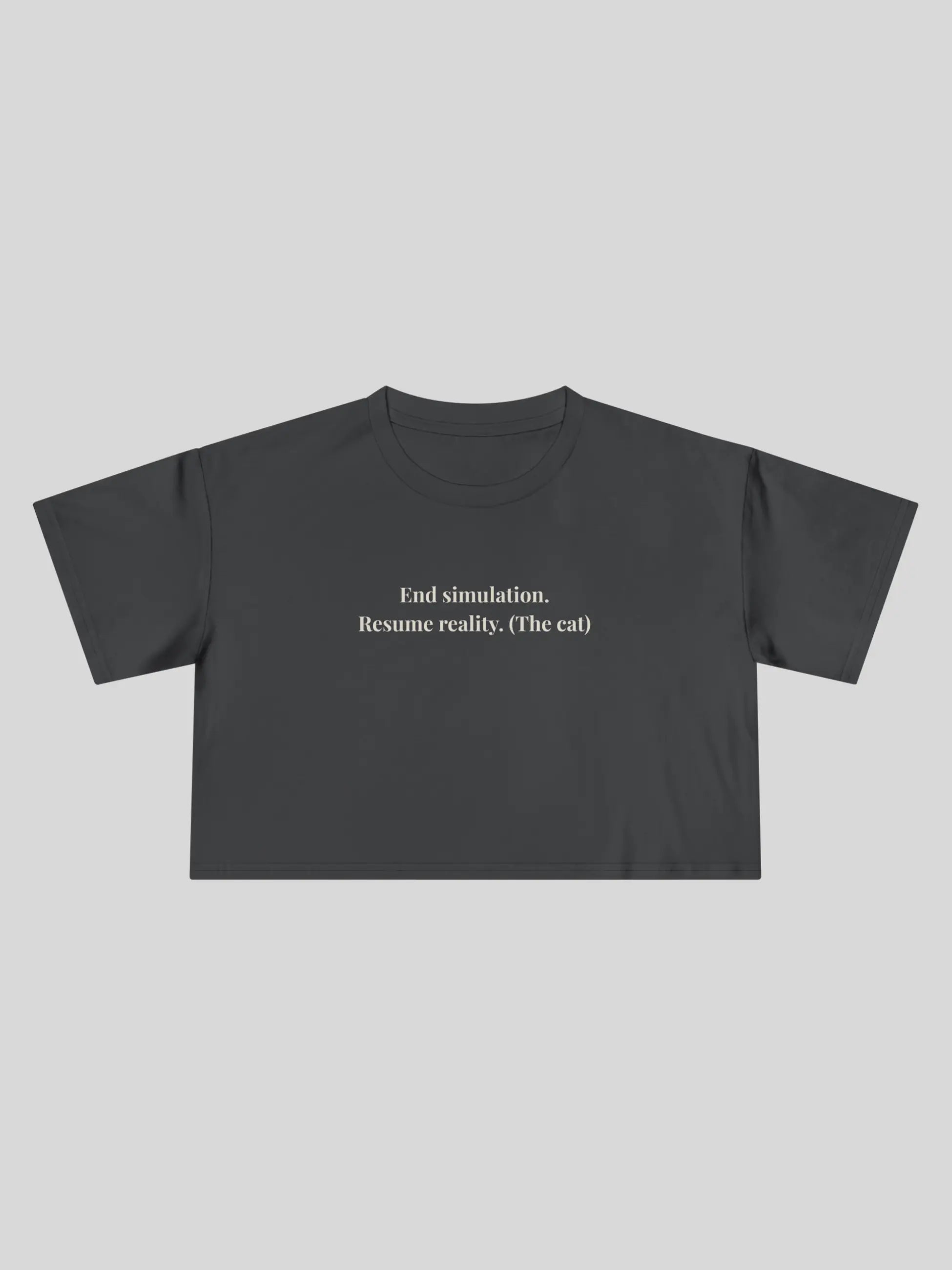 End Simulation Cropped Tee
