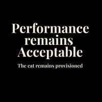 Performance Remains Acceptable Oversized Tee