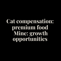 Cat Compensation Oversized Tee