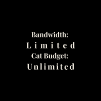 Bandwidth Limited Oversized Tee