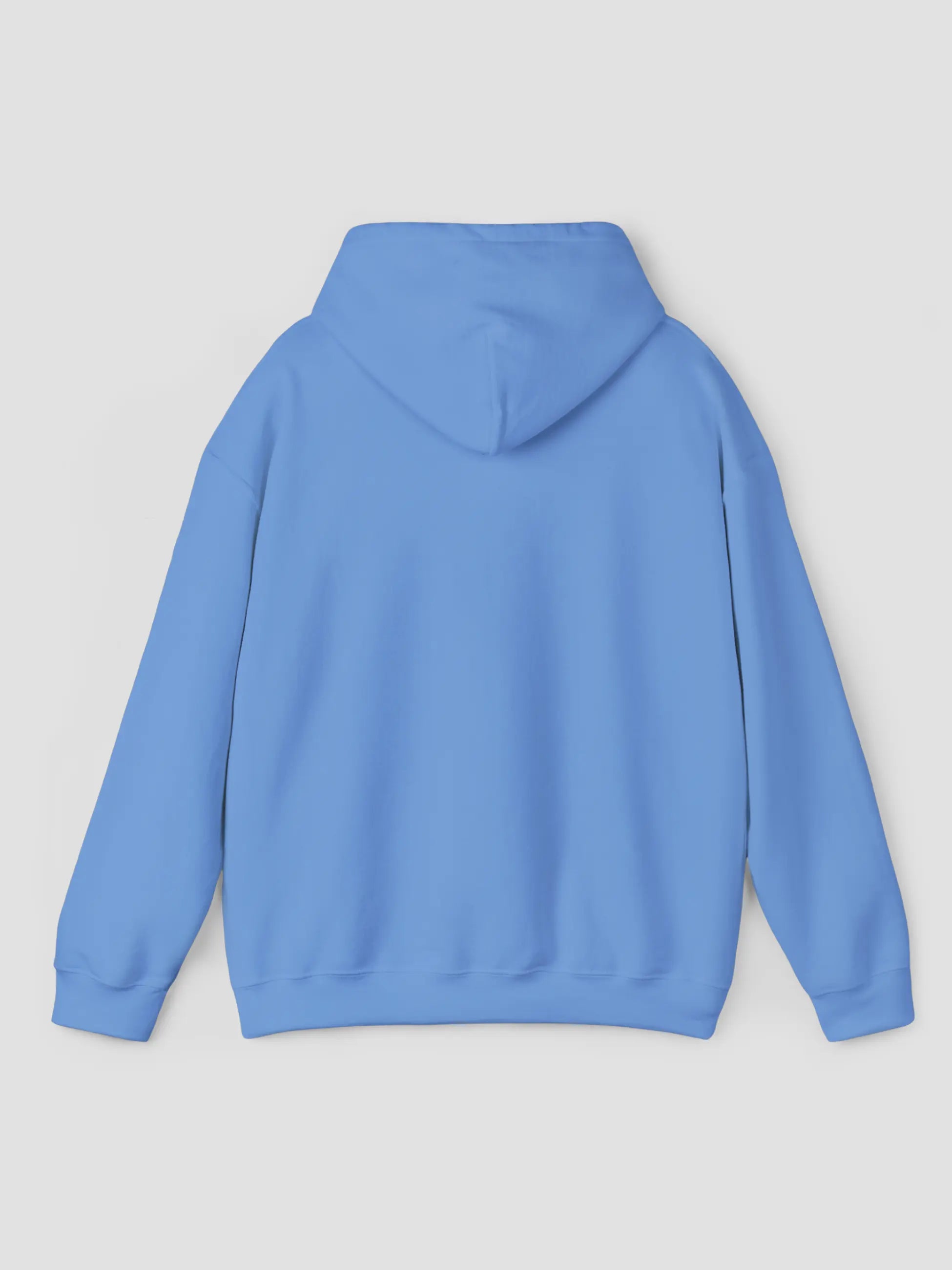 Hoodie In Carolina Blue