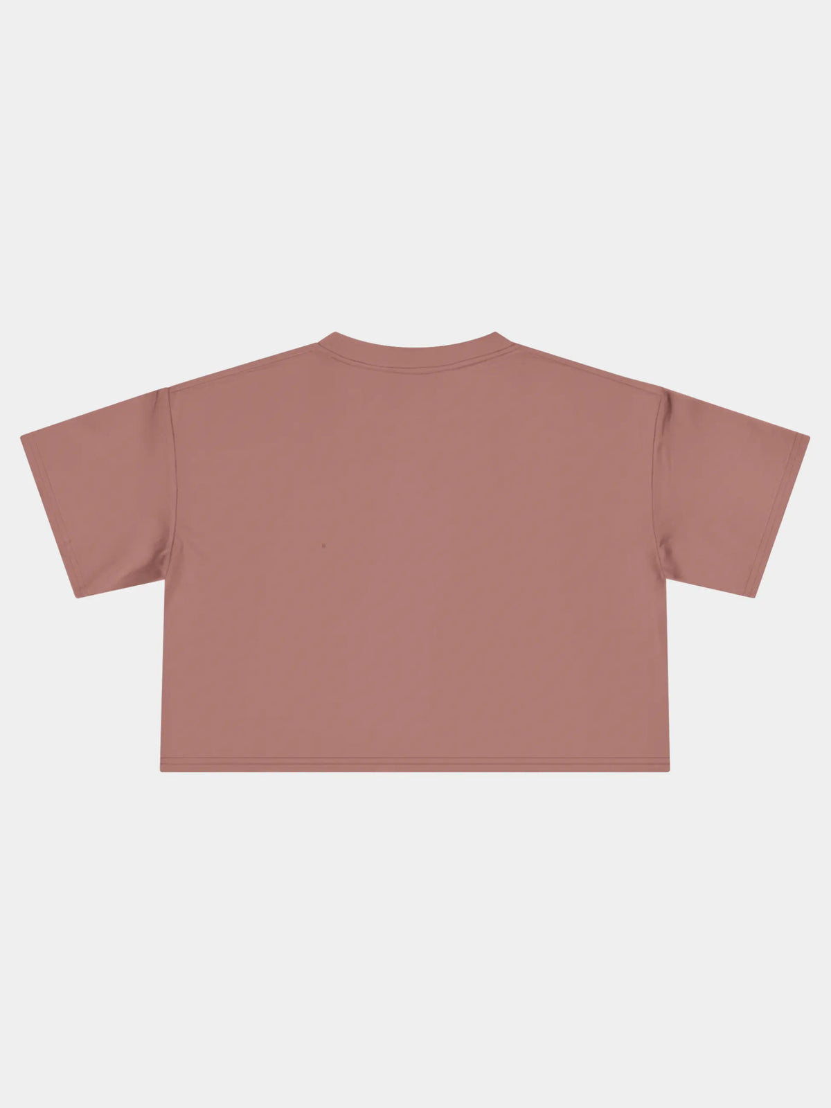 Crop Tee In Hazy Pink