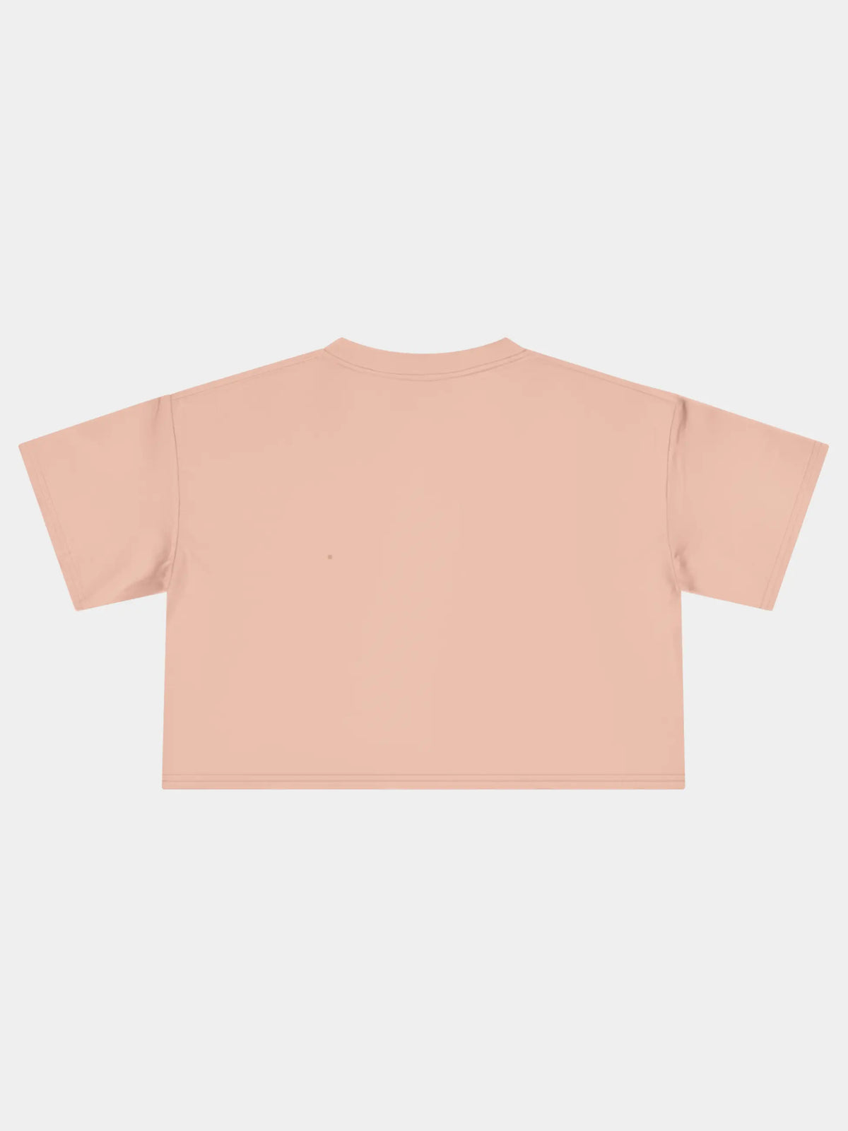 Crop Tee In Pale Pink