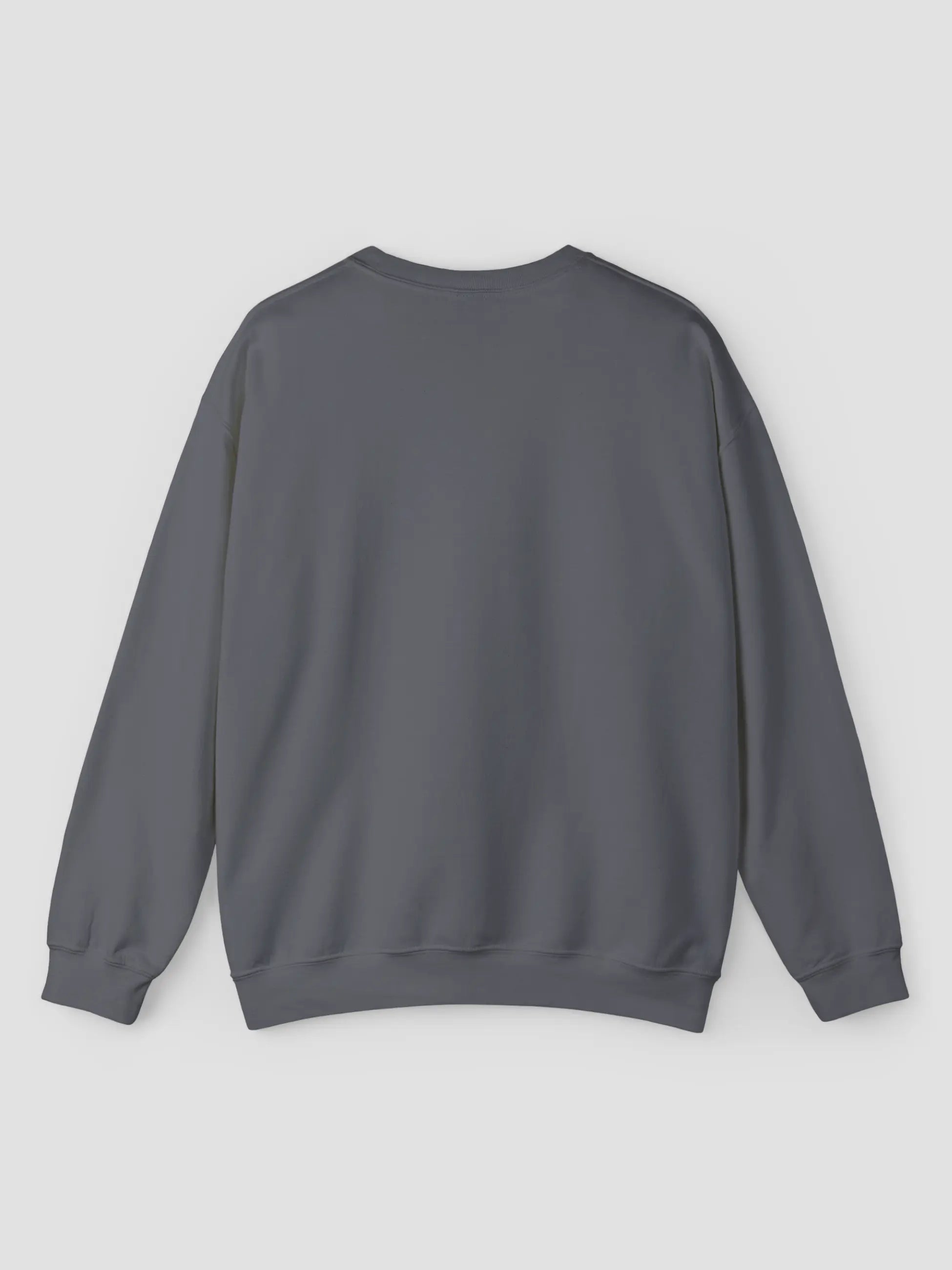 Crewneck Sweatshirt In Charcoal