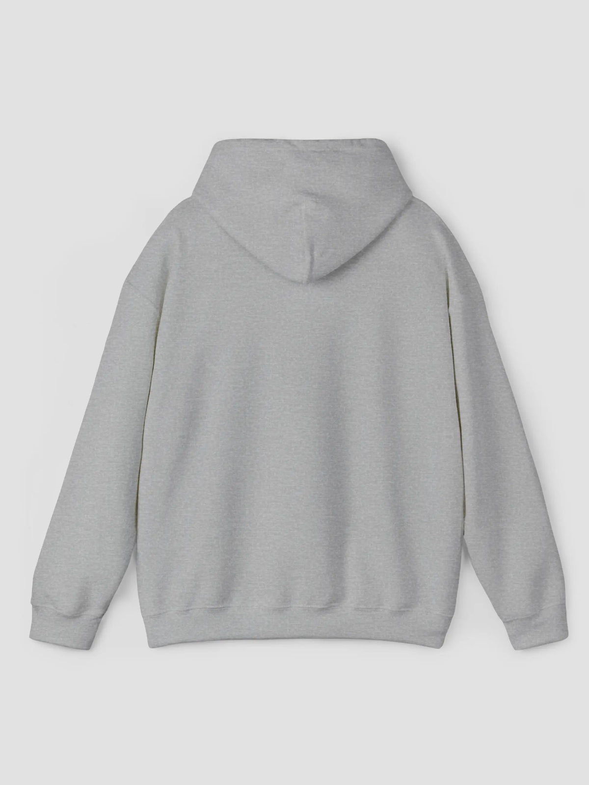 Hoodie In Sport Grey
