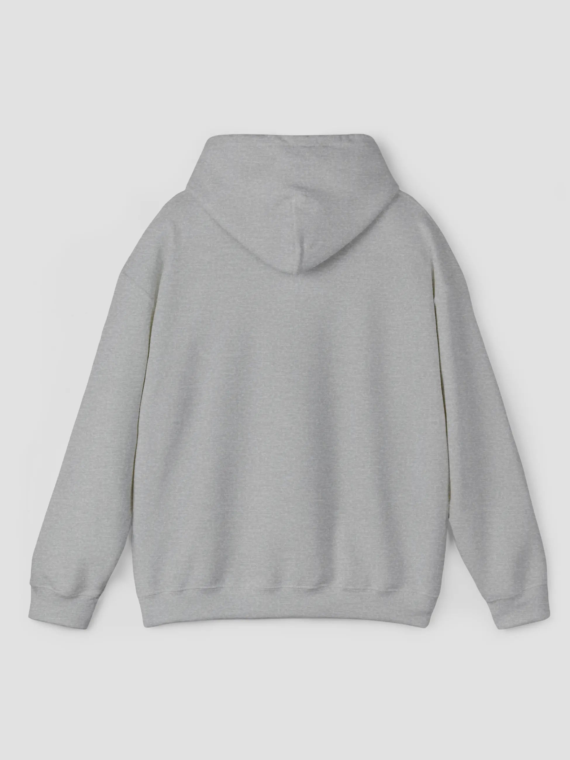 Hoodie In Sport Grey