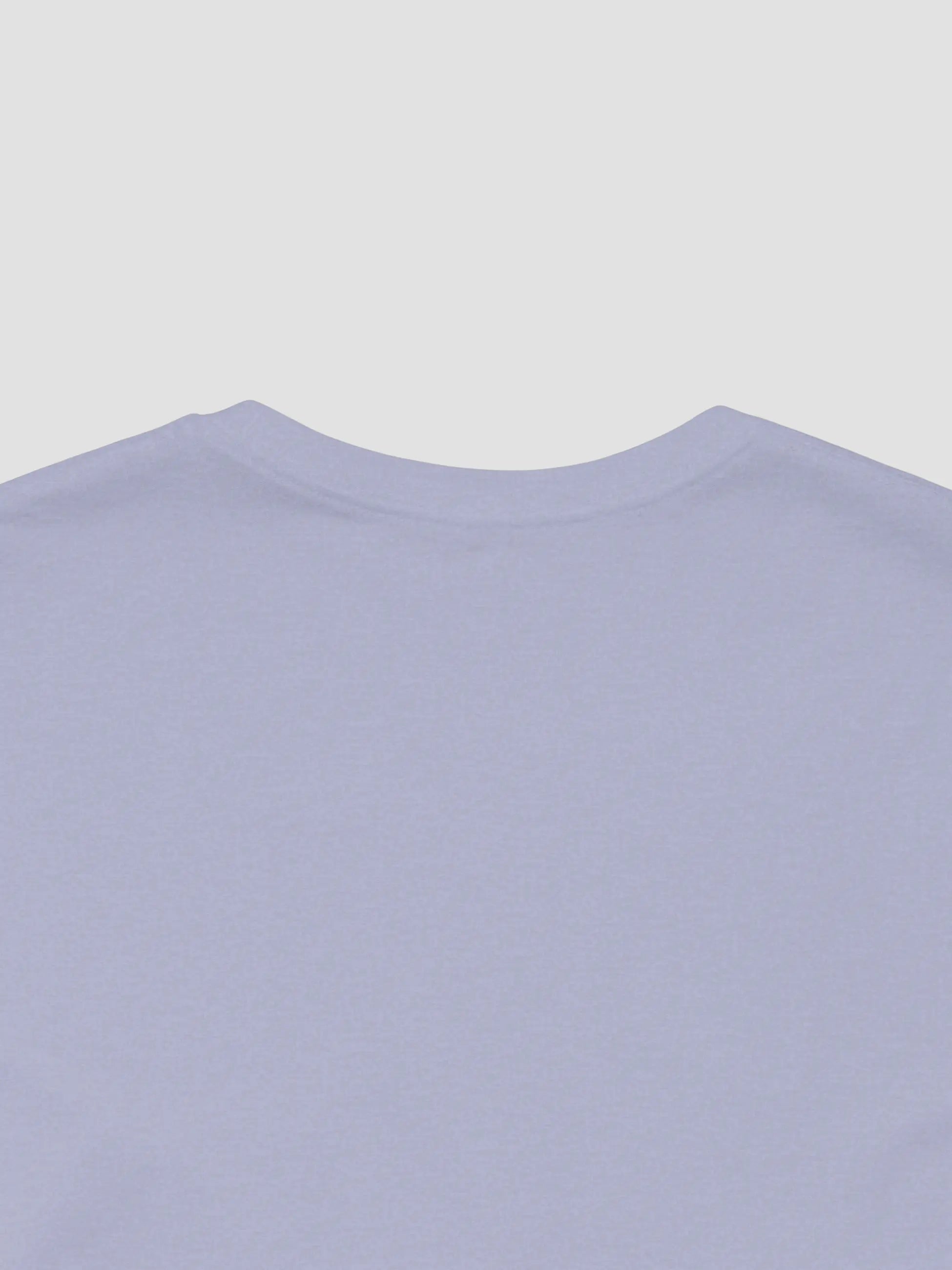 Crewneck Tee In Heather Blue
