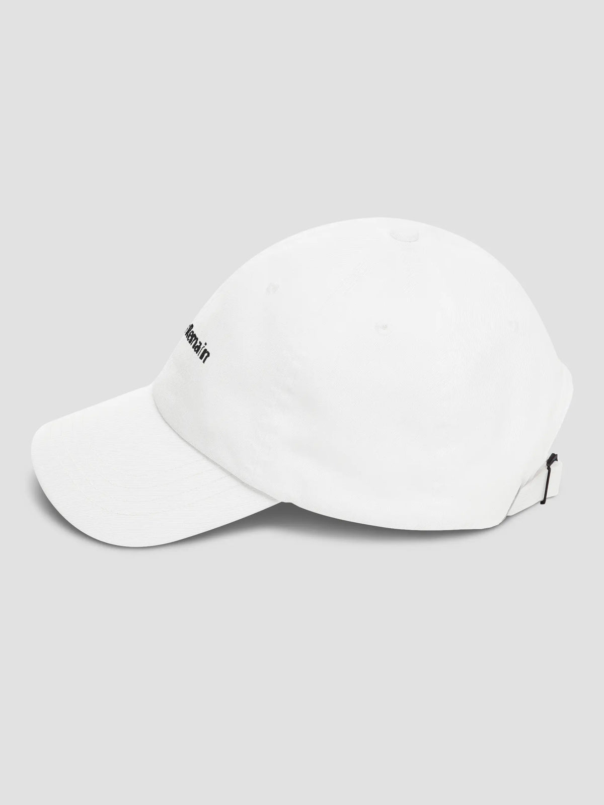 Facts Remain Cap