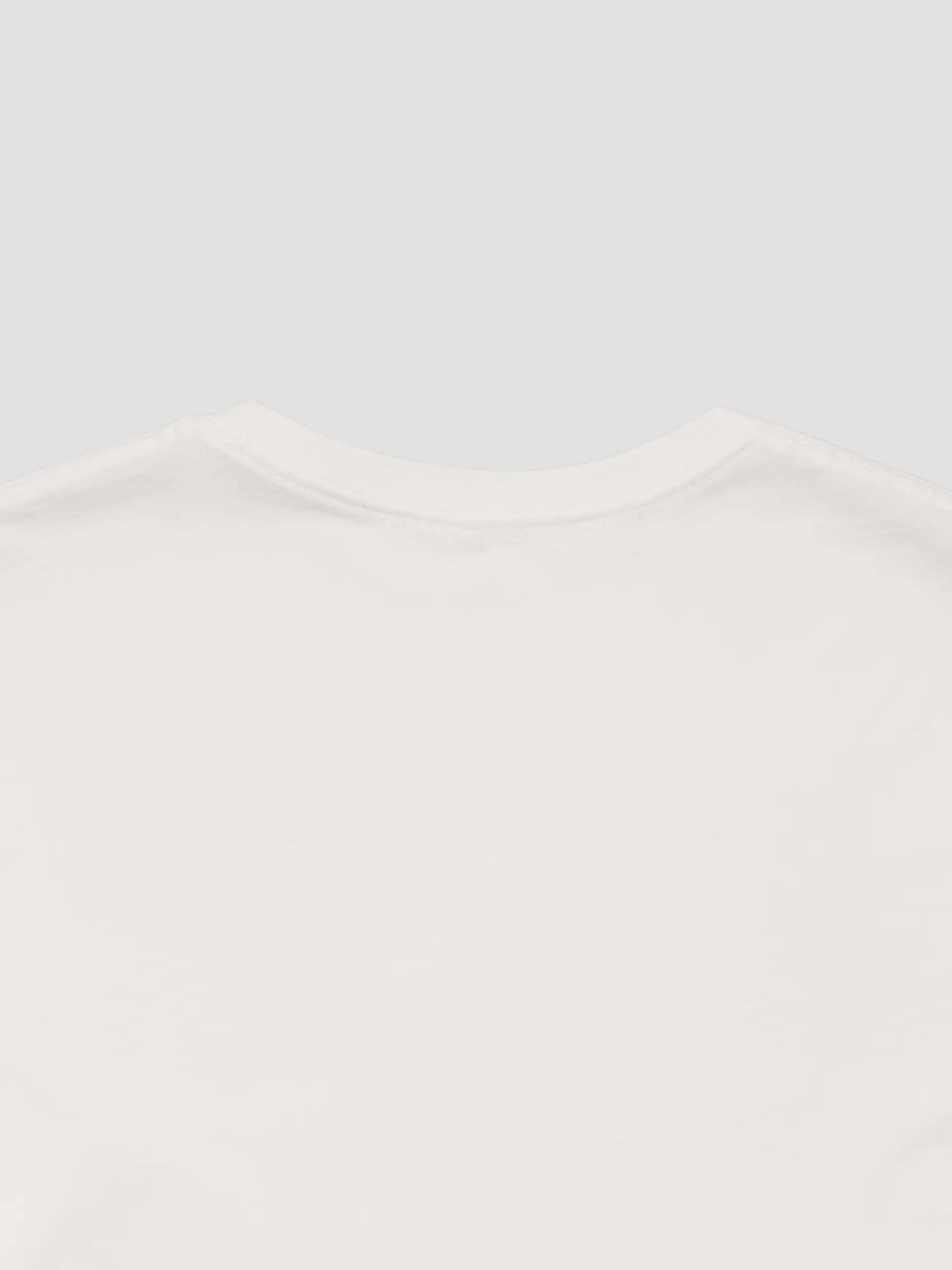 Crewneck Tee In Vintage White