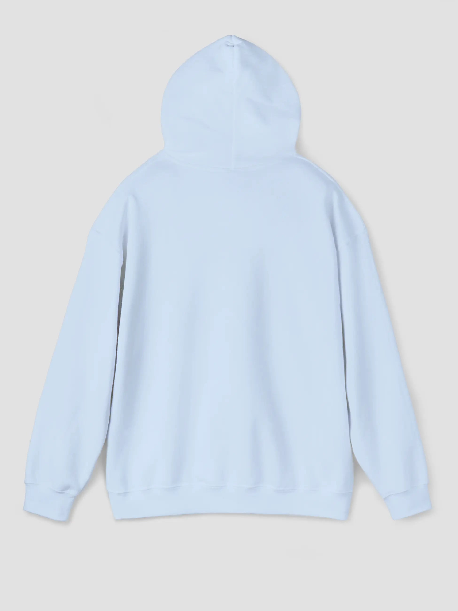 Hoodie In Light Blue