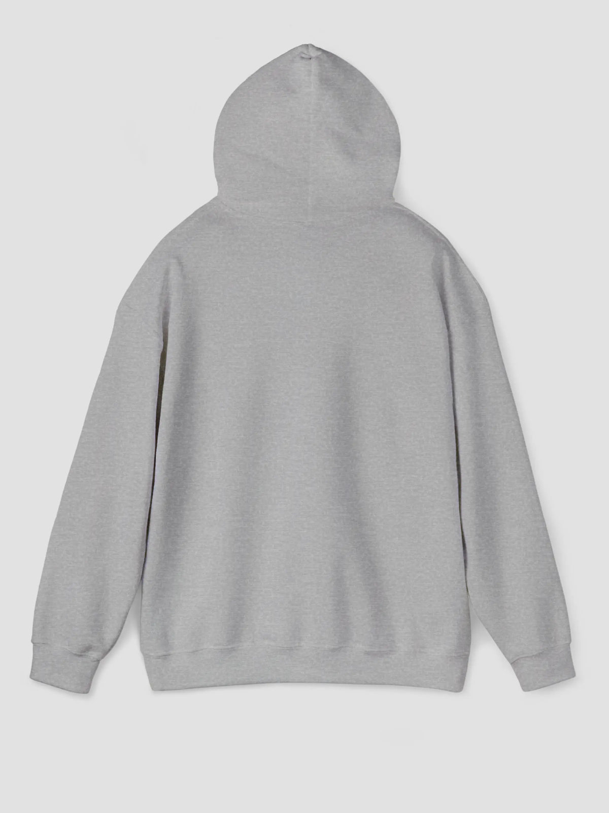 Hoodie In Sport Grey