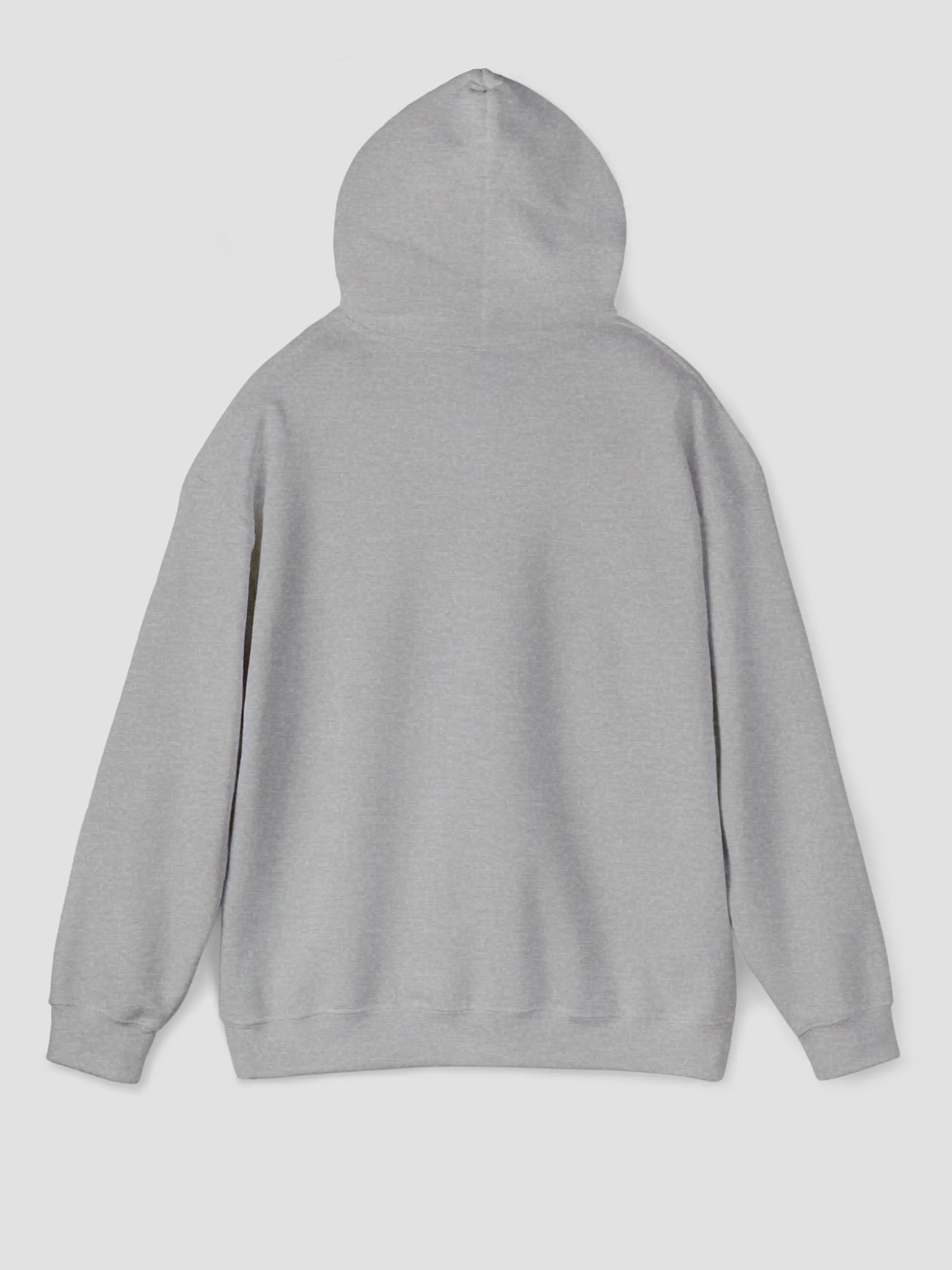 Hoodie In Sport Grey