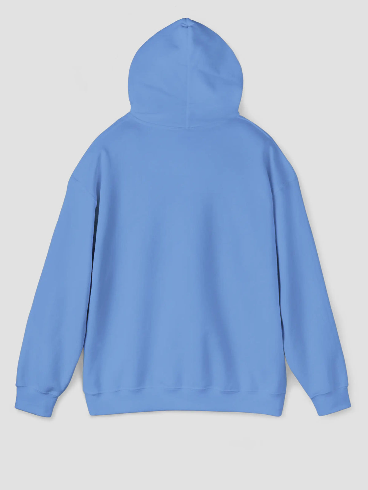 Hoodie In Carolina Blue