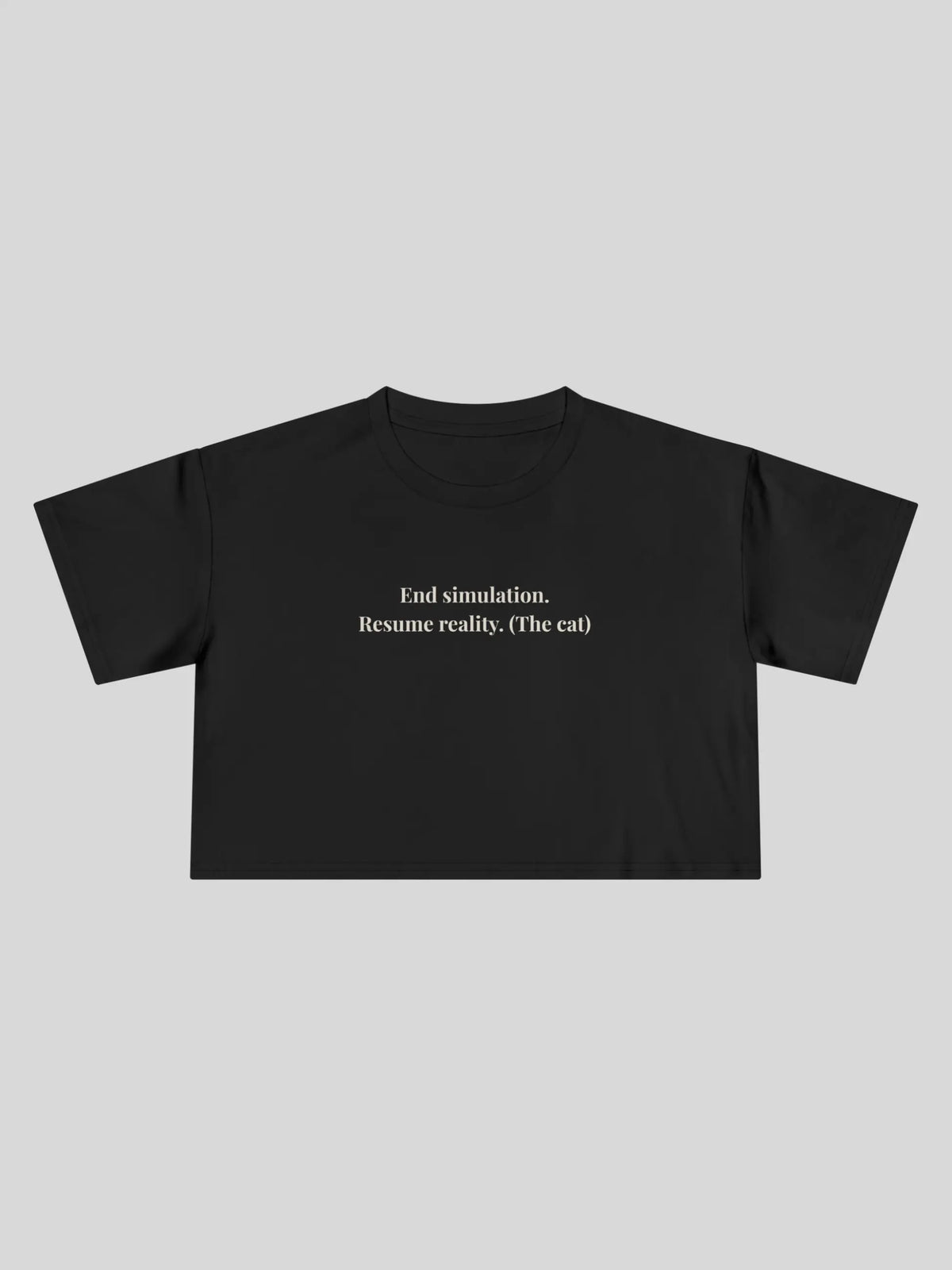 End Simulation Cropped Tee