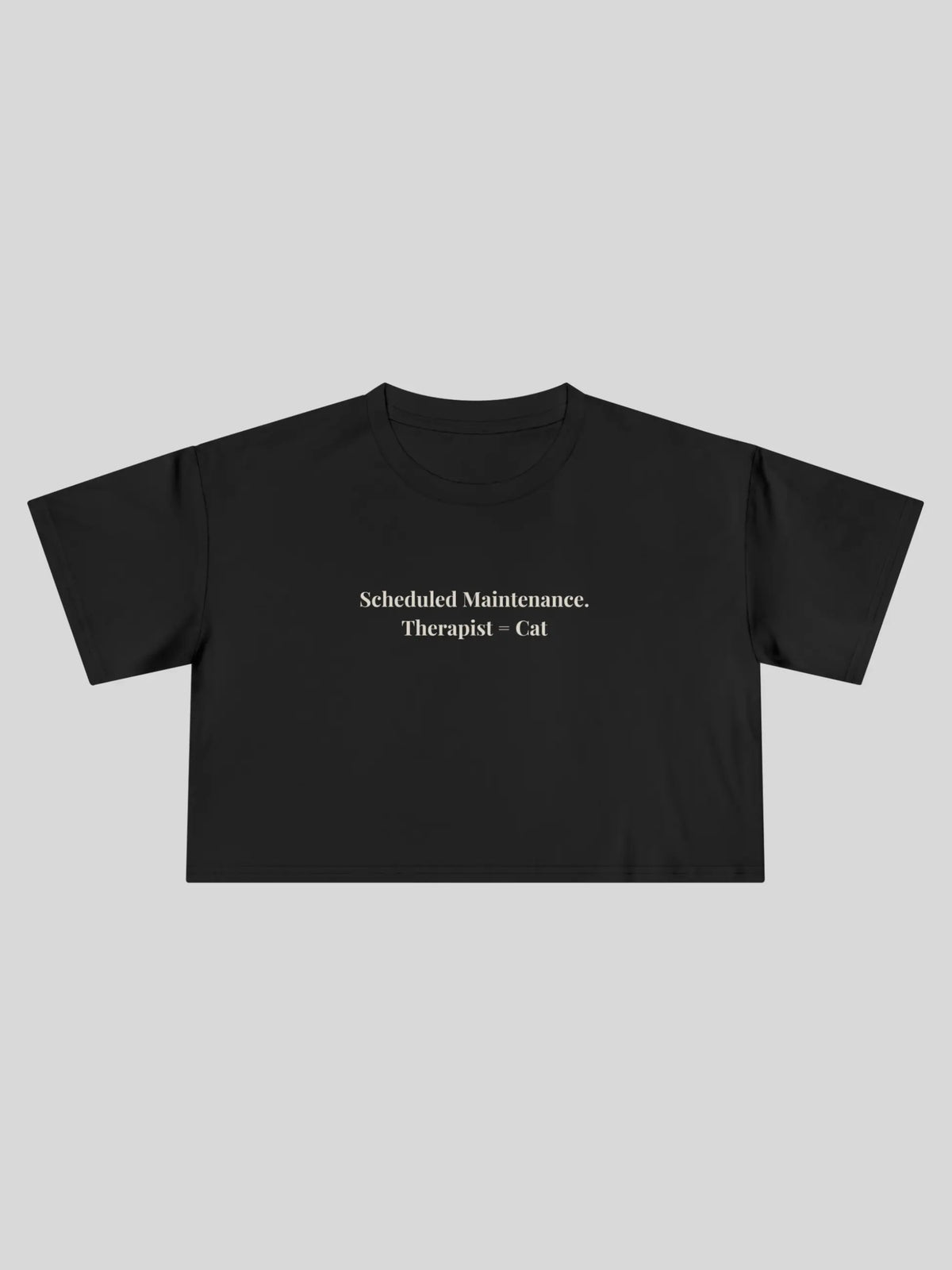 Scheduled Maintenance Cropped Tee