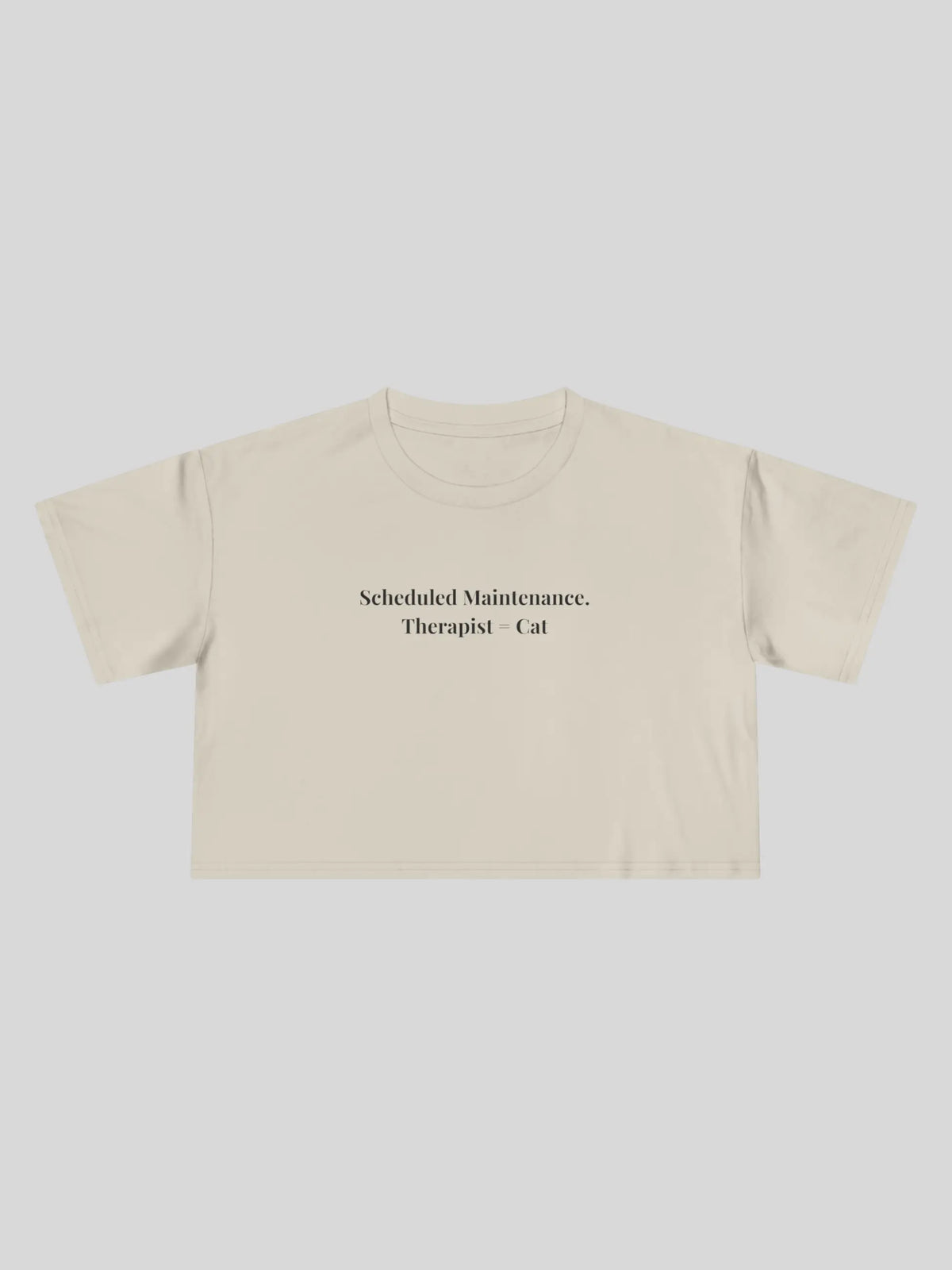Scheduled Maintenance Cropped Tee