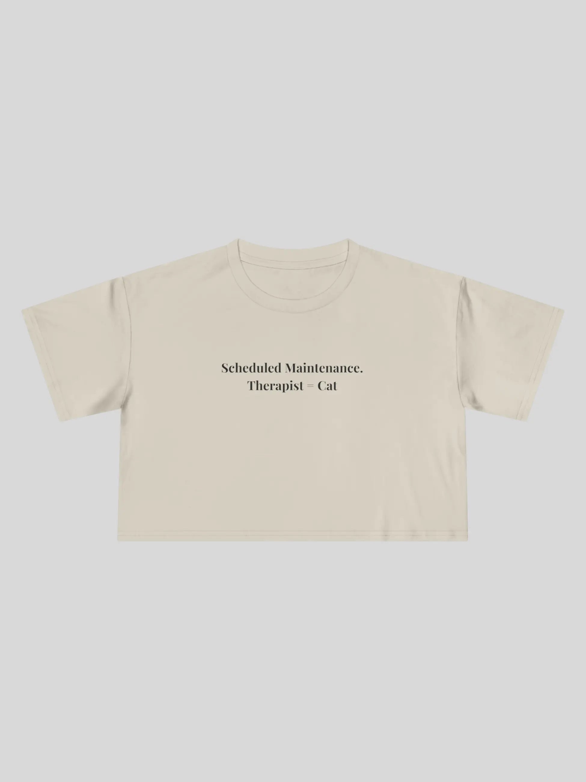 Scheduled Maintenance Cropped Tee
