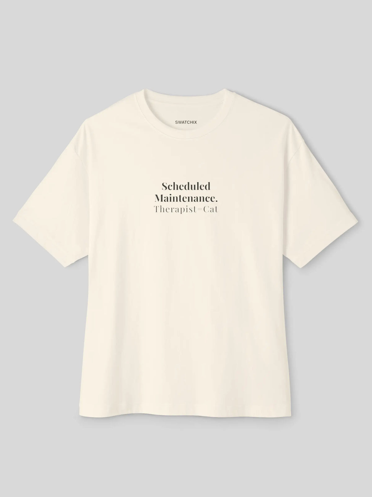 Scheduled Maintenance Oversized Tee