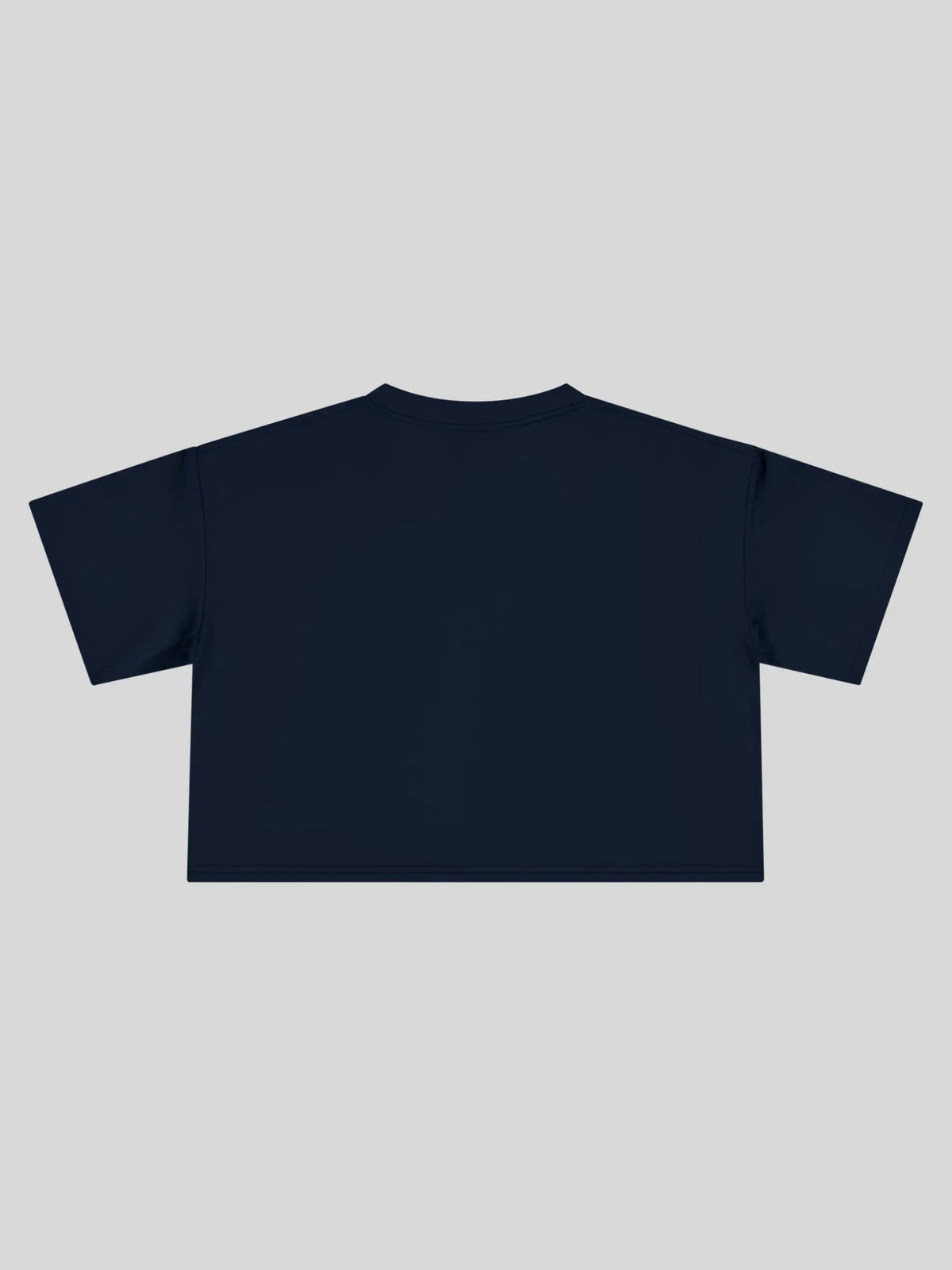 Feedback Sandwich Cropped Tee