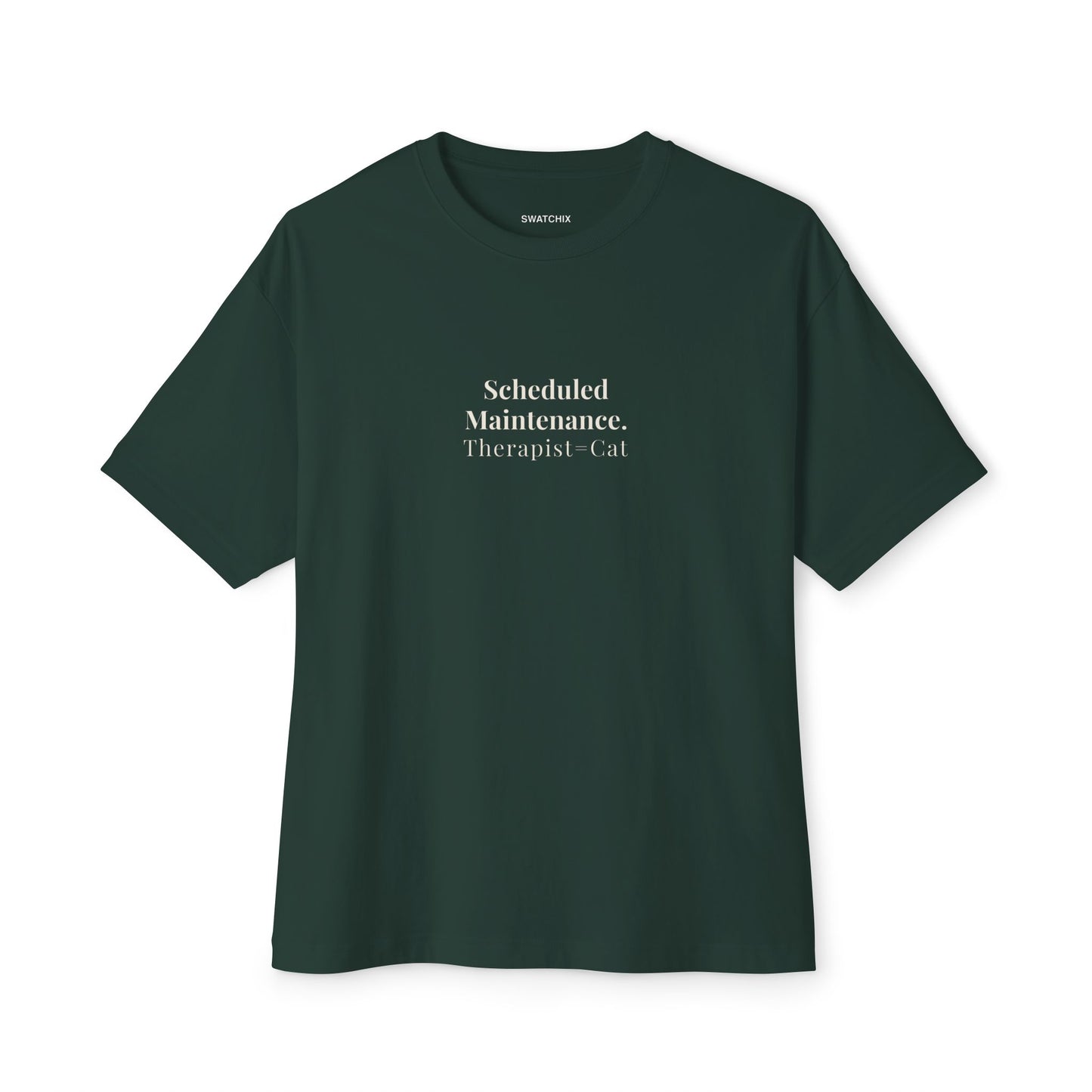Scheduled Maintenance Oversized Tee