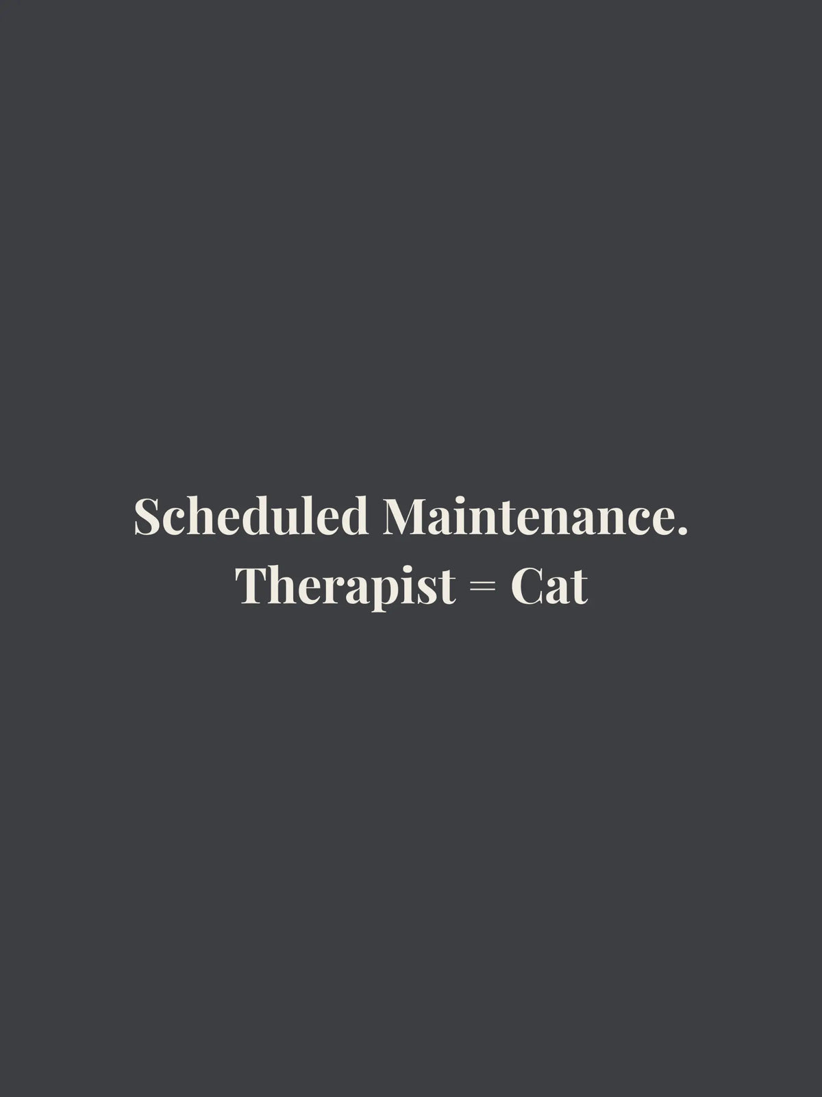 Scheduled Maintenance Cropped Tee