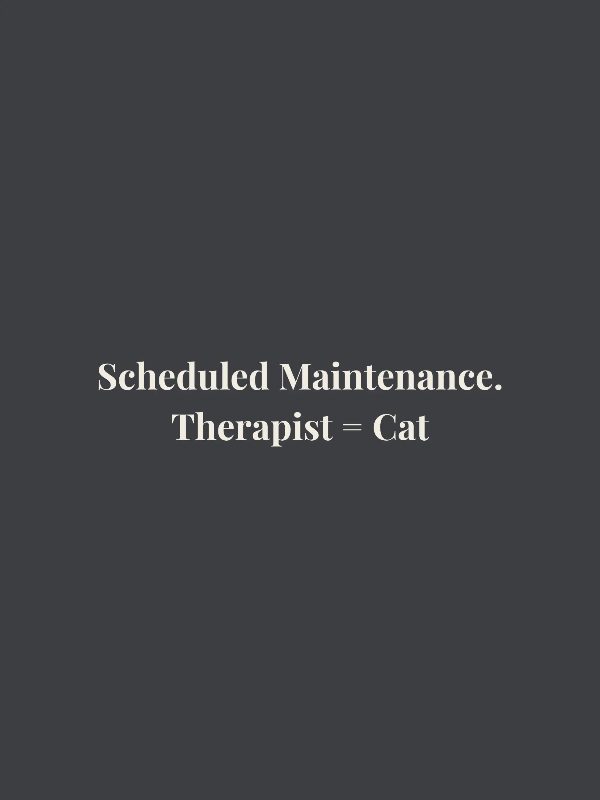 Scheduled Maintenance Cropped Tee