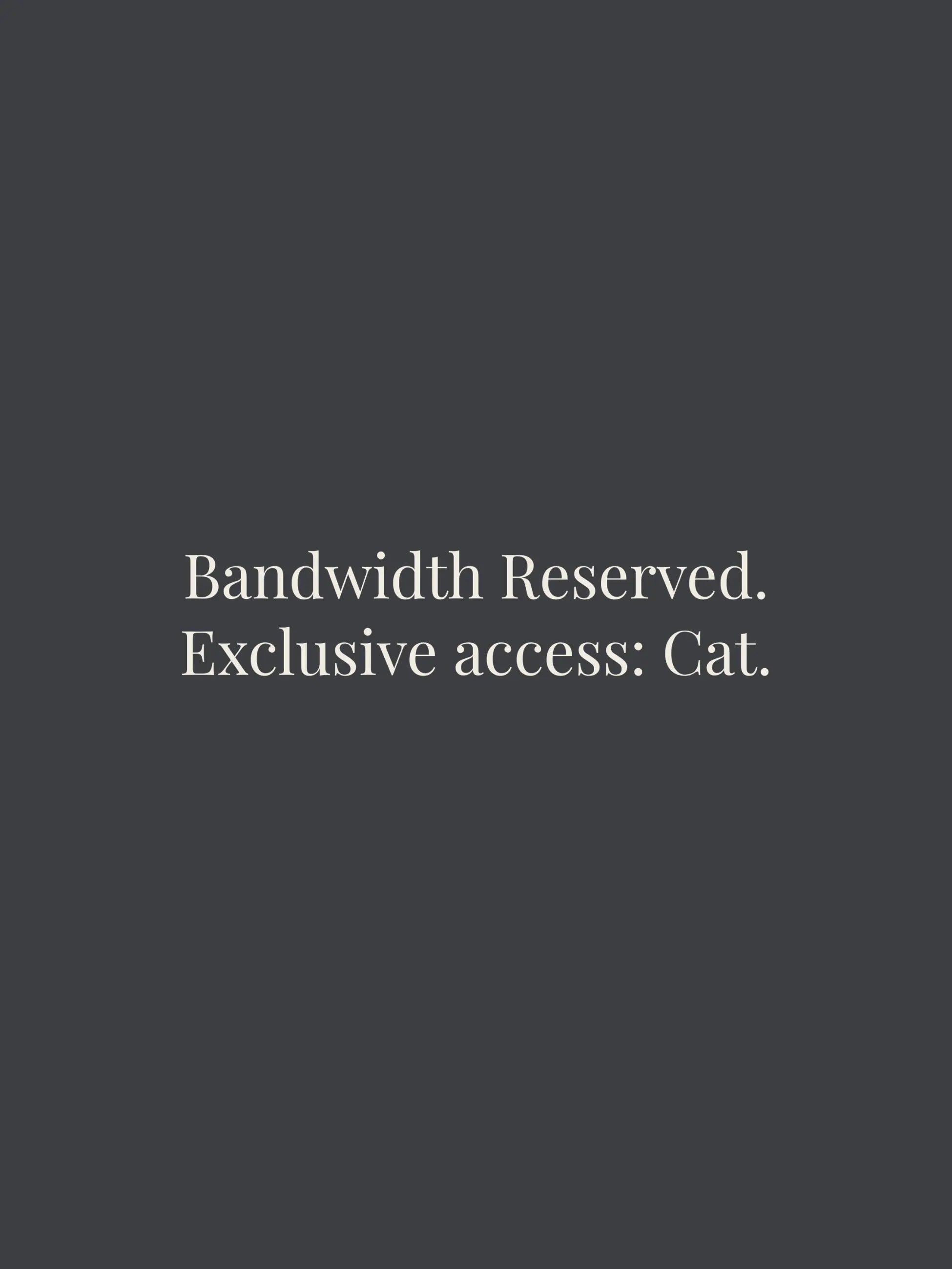 Bandwidth Reserved Cropped Tee