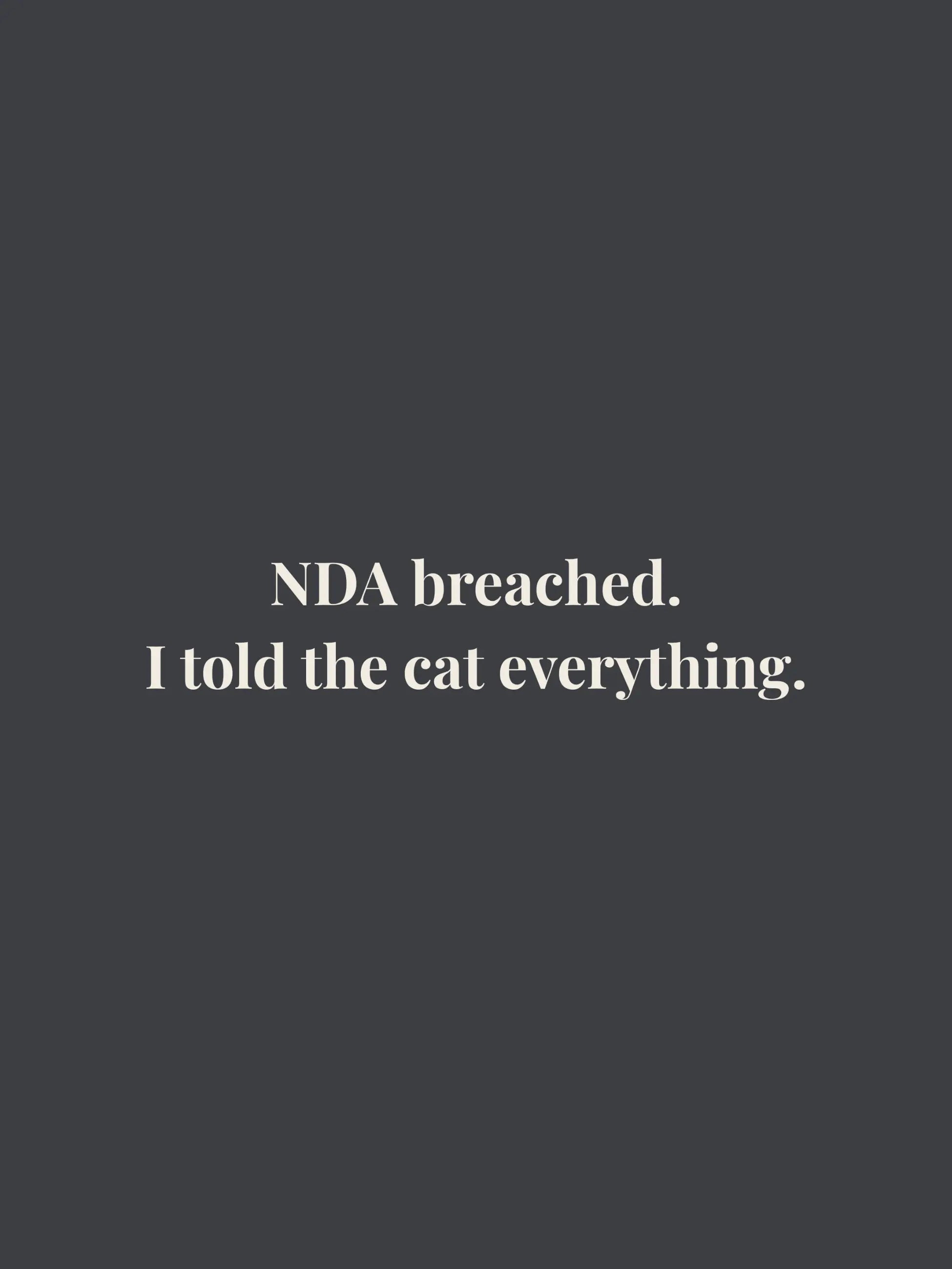 NDA Breached Cropped Tee
