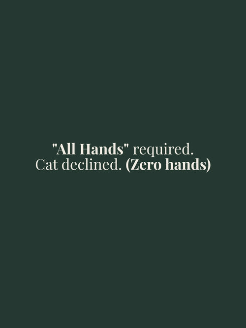 Swatchix All Hands Oversized Tee with "All Hands required. Cat declined. (Zero hands)." printed on the front