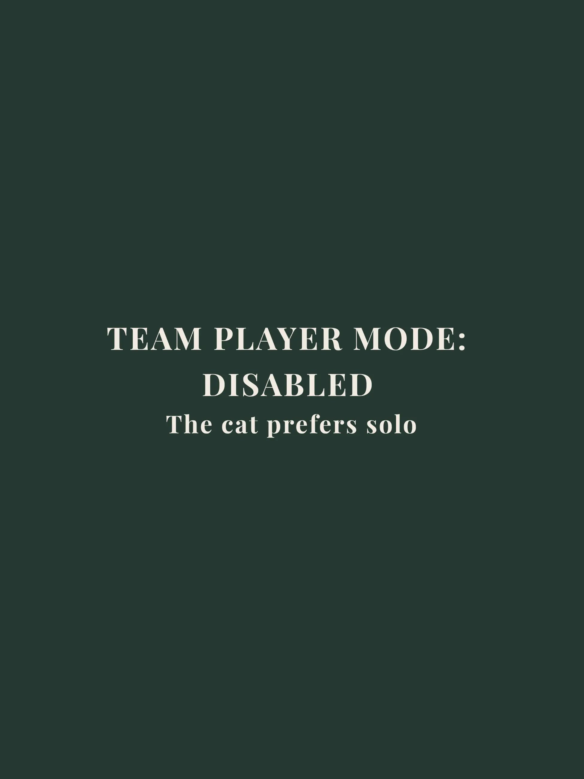 Team Player Mode Oversized Tee