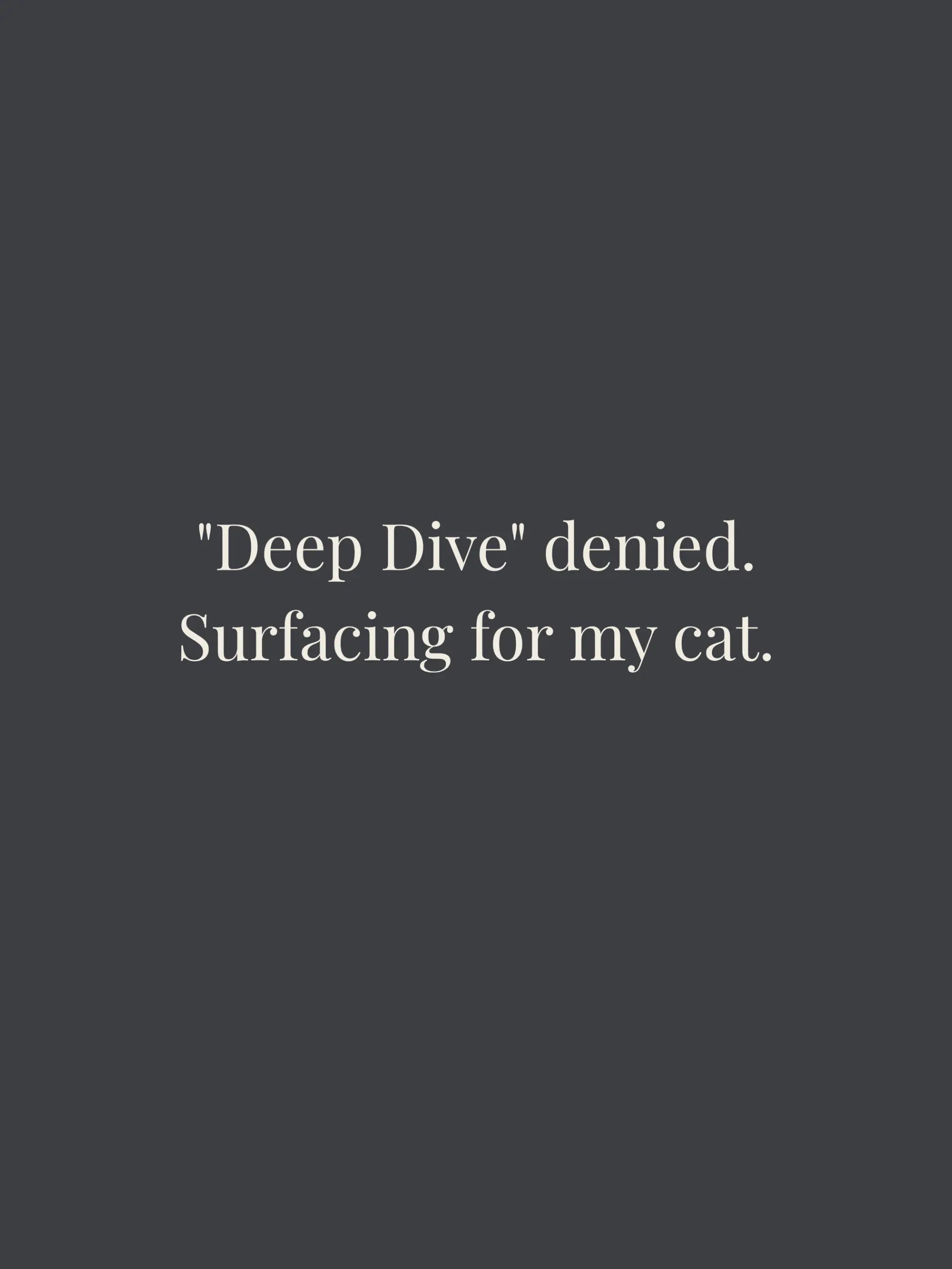 Deep Dive Cropped Tee