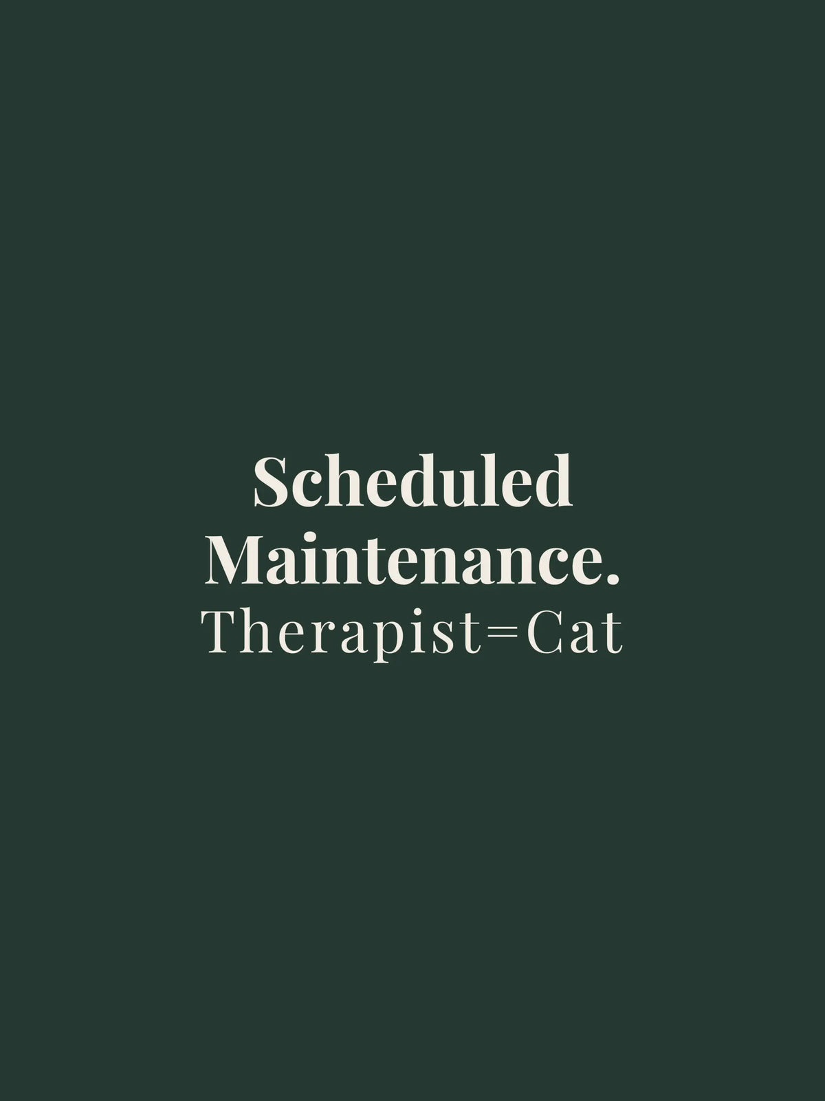 Scheduled Maintenance Oversized Tee