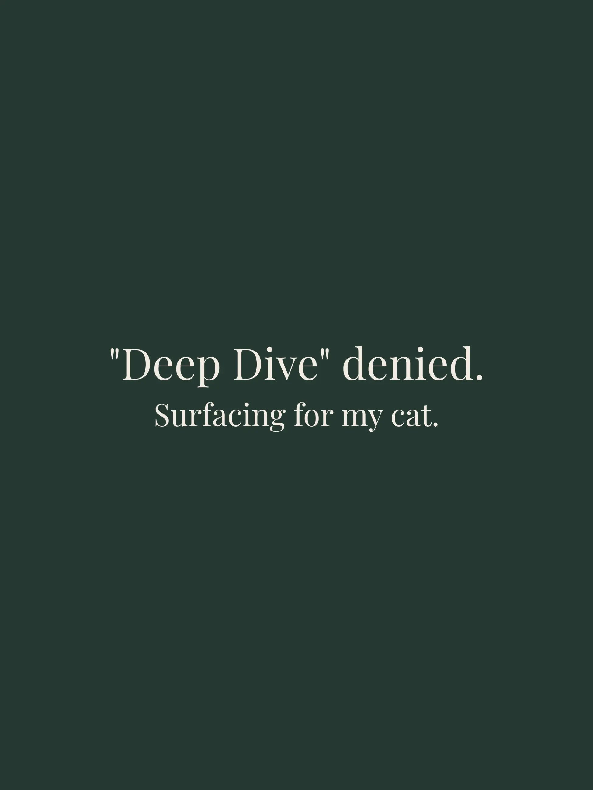 Deep Dive Oversized Tee