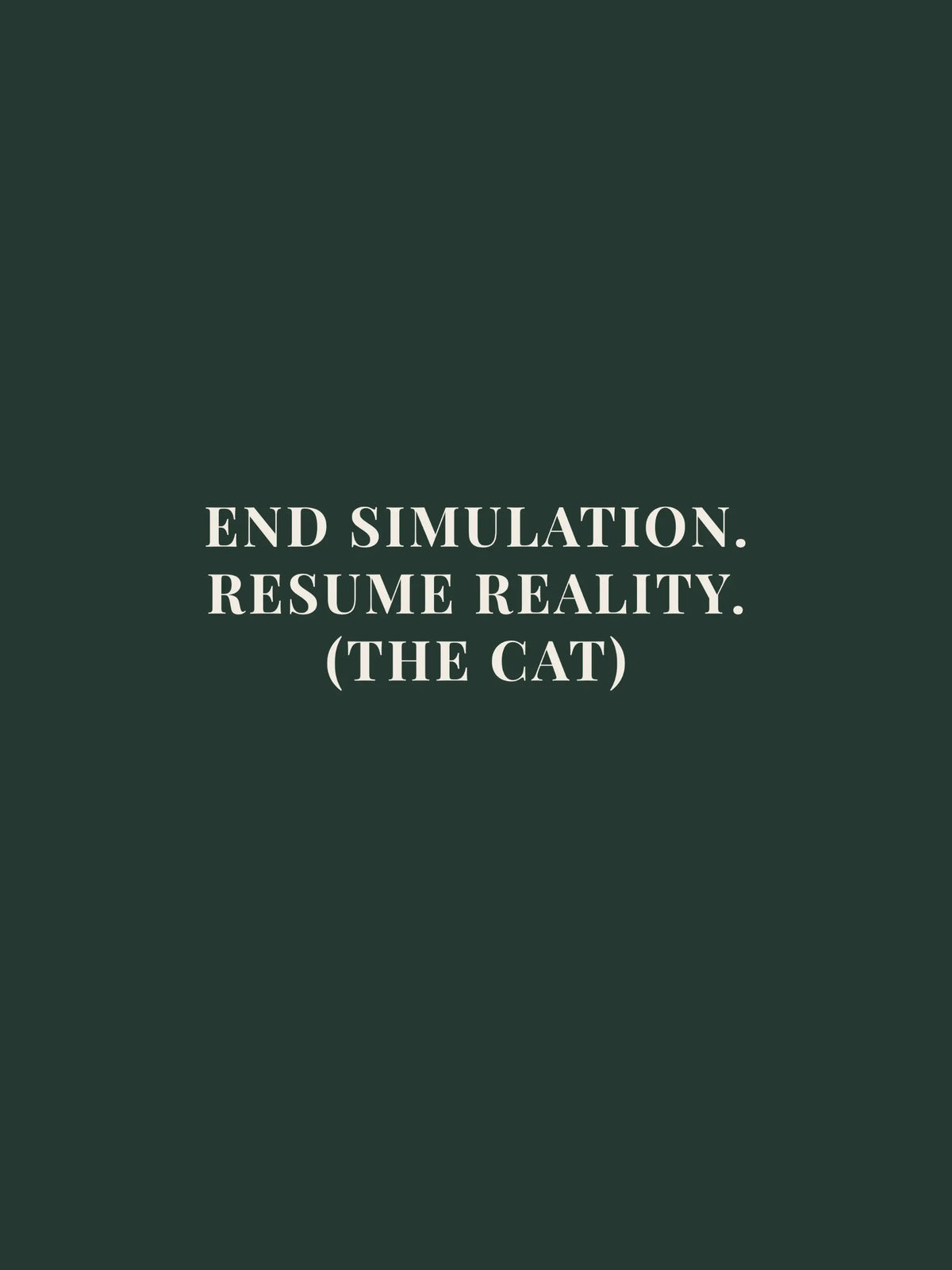 End Simulation Oversized Tee