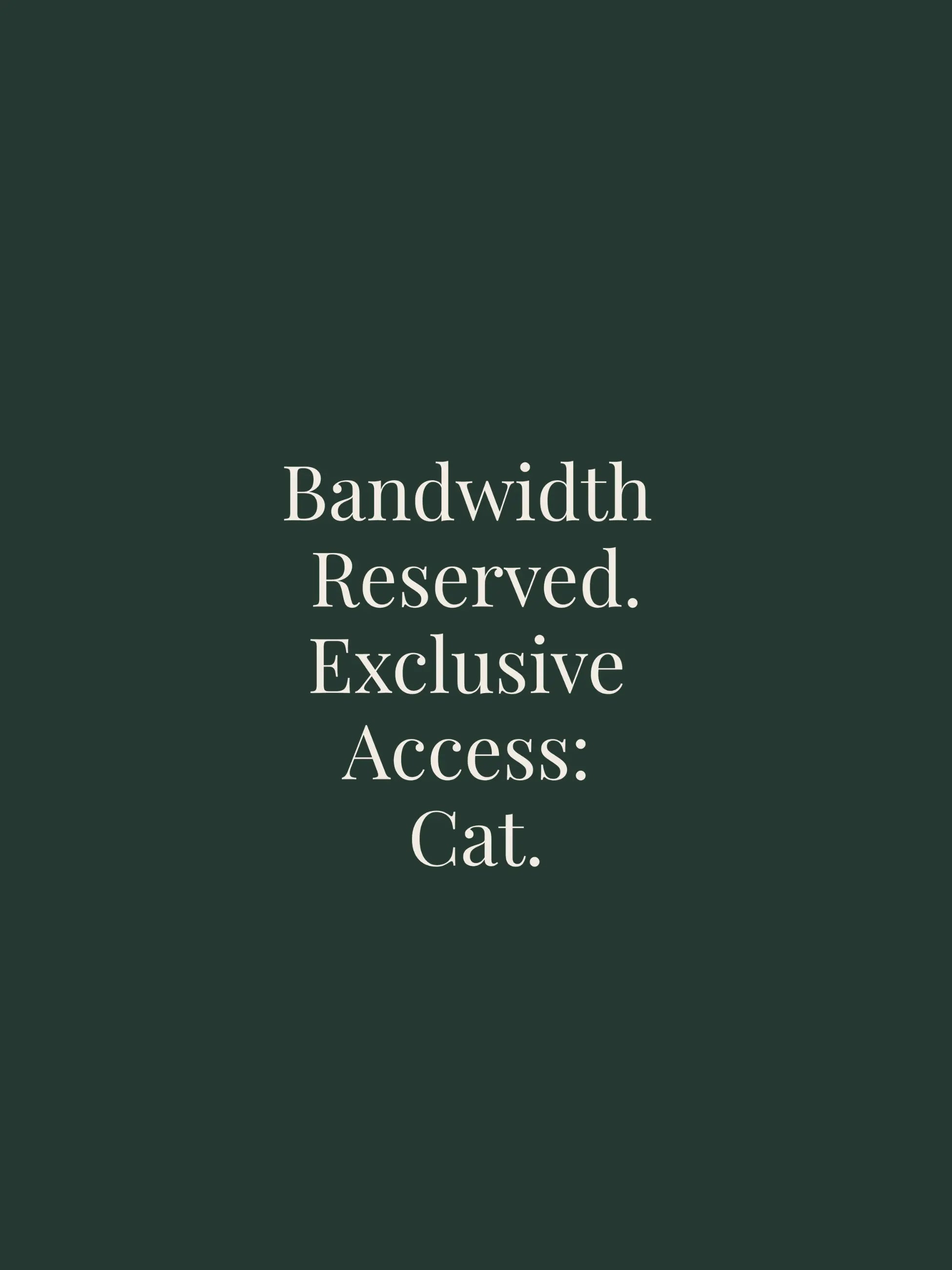 Bandwidth Oversized Tee