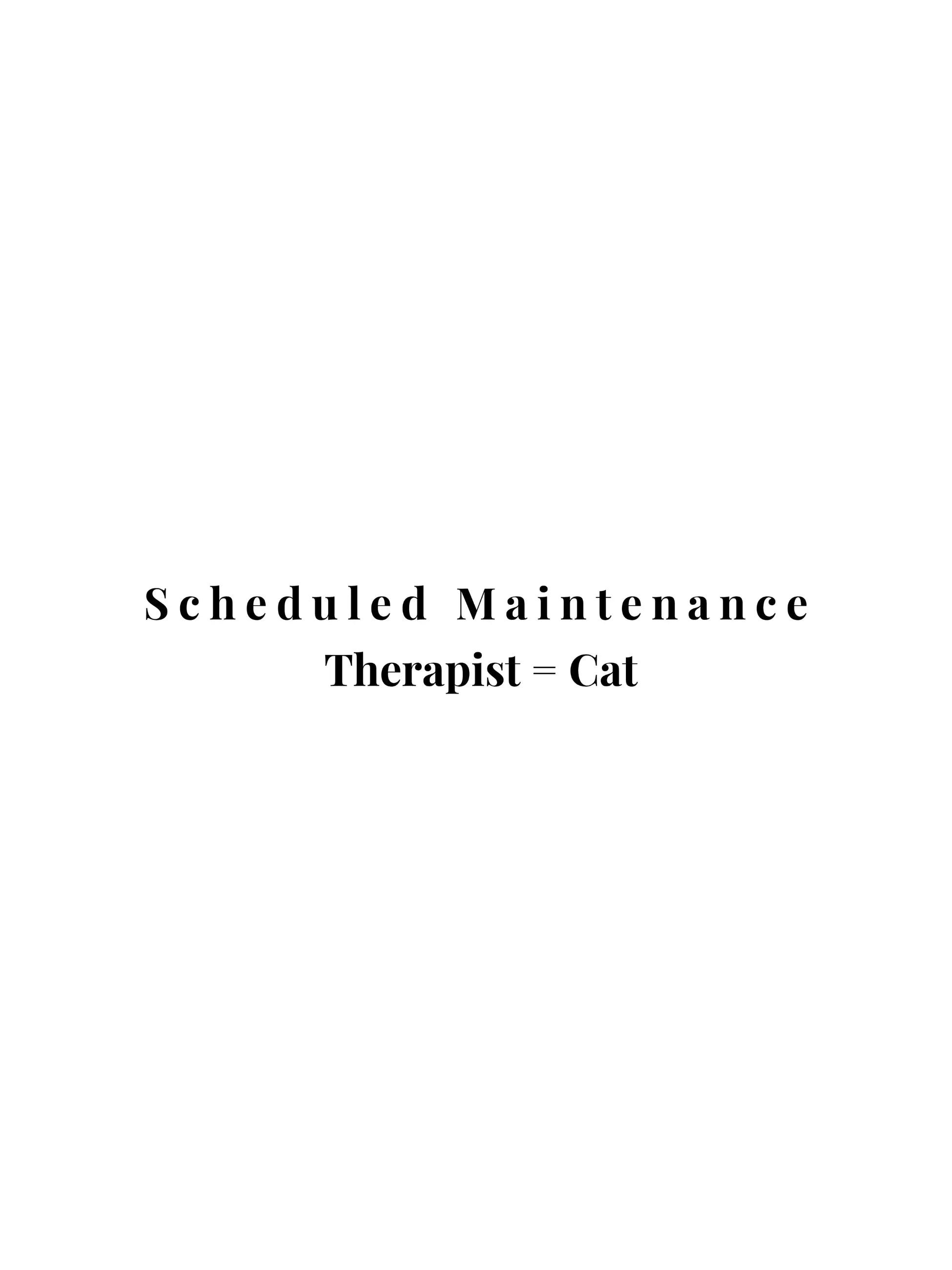 Scheduled Maintenance Crewneck Tee