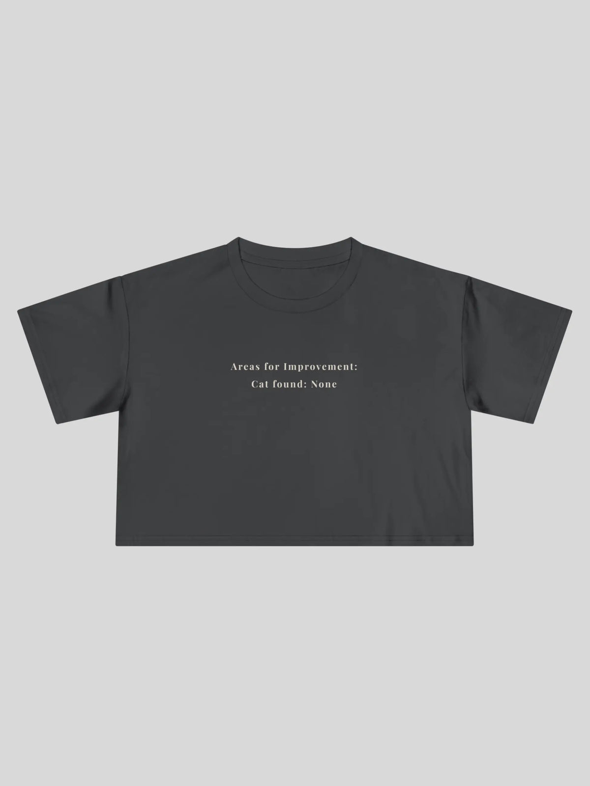Areas for Improvement Cropped Tee