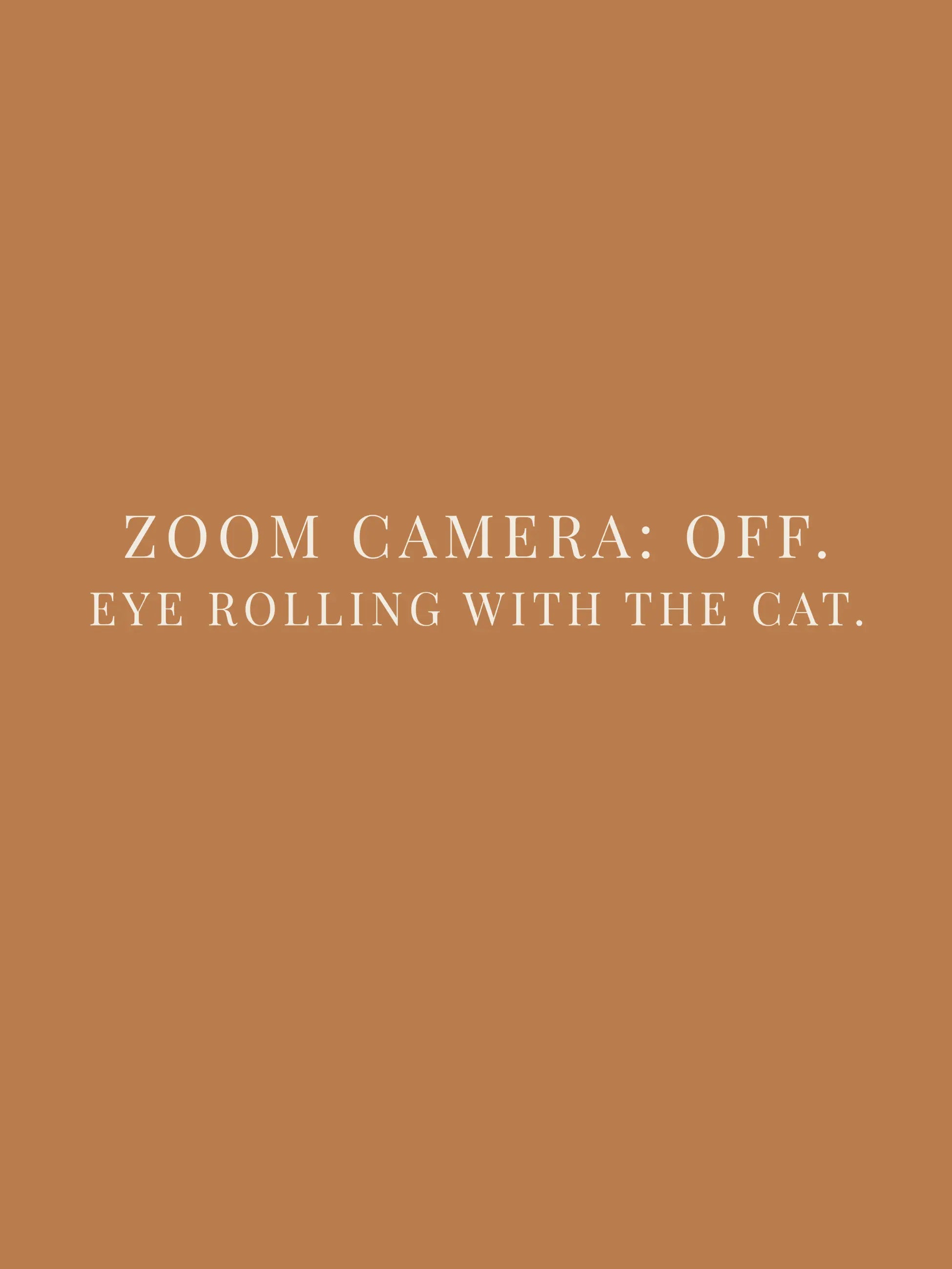 Zoom Camera Oversized Tee
